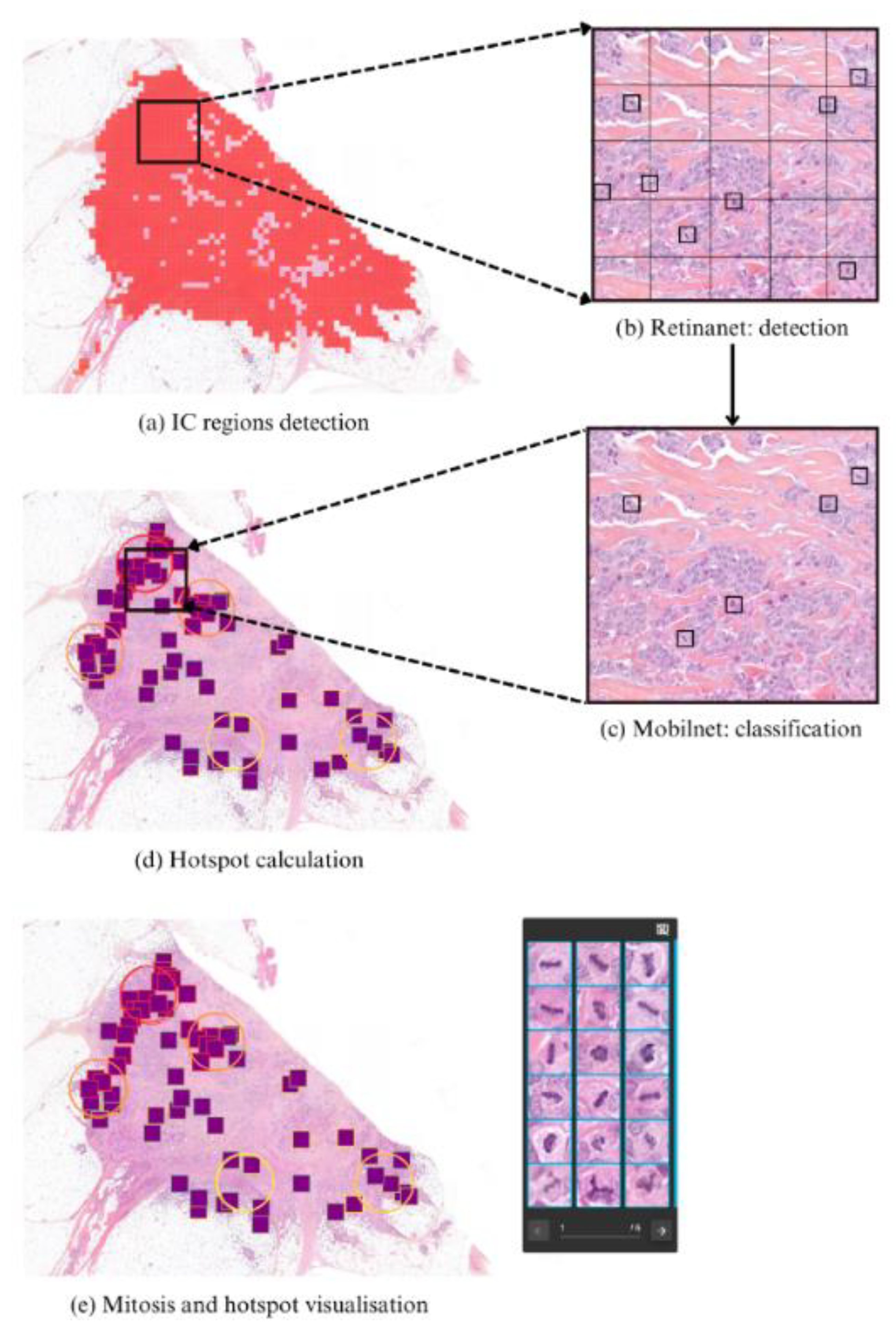 Preprints 150667 g001