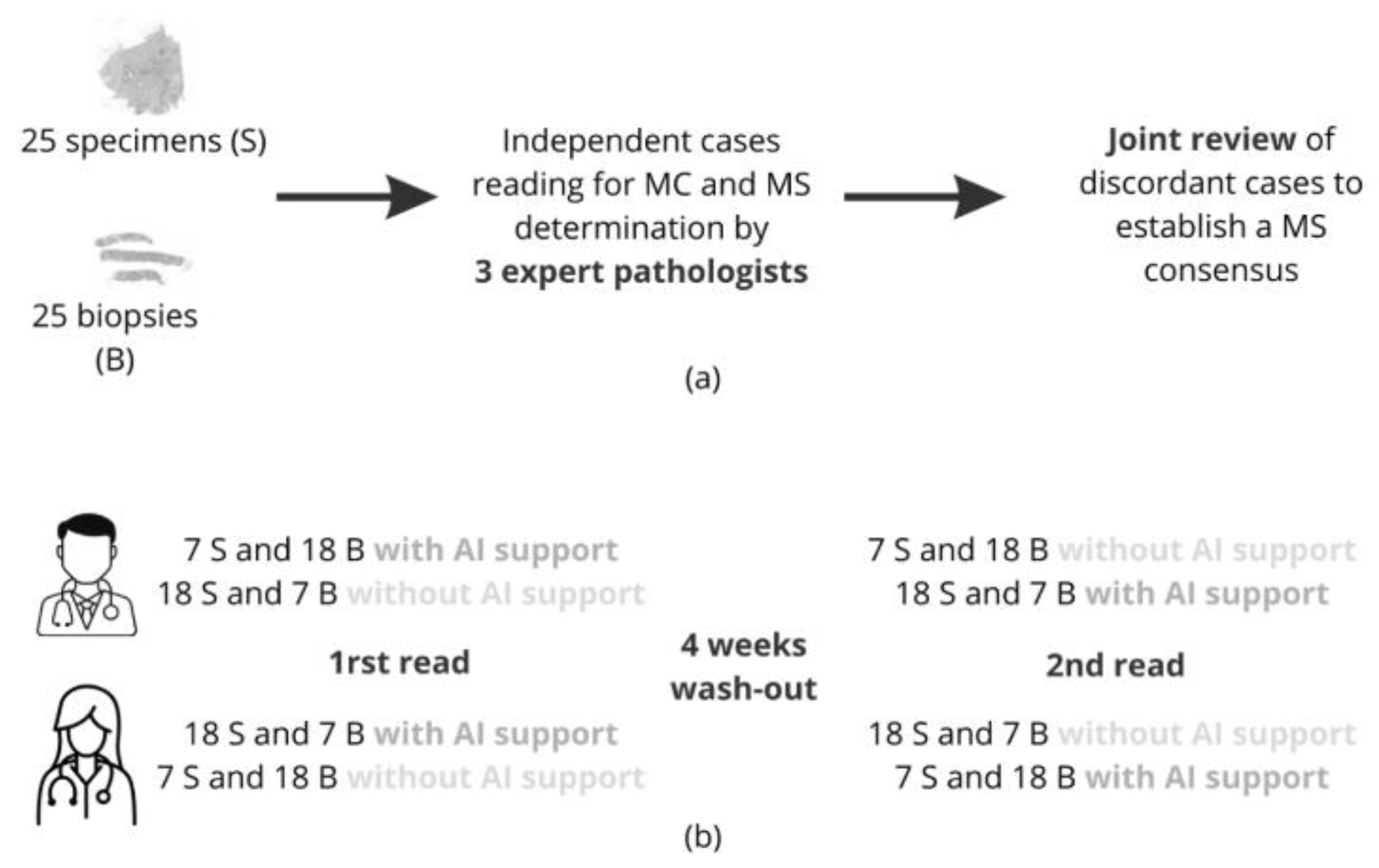 Preprints 150667 g002
