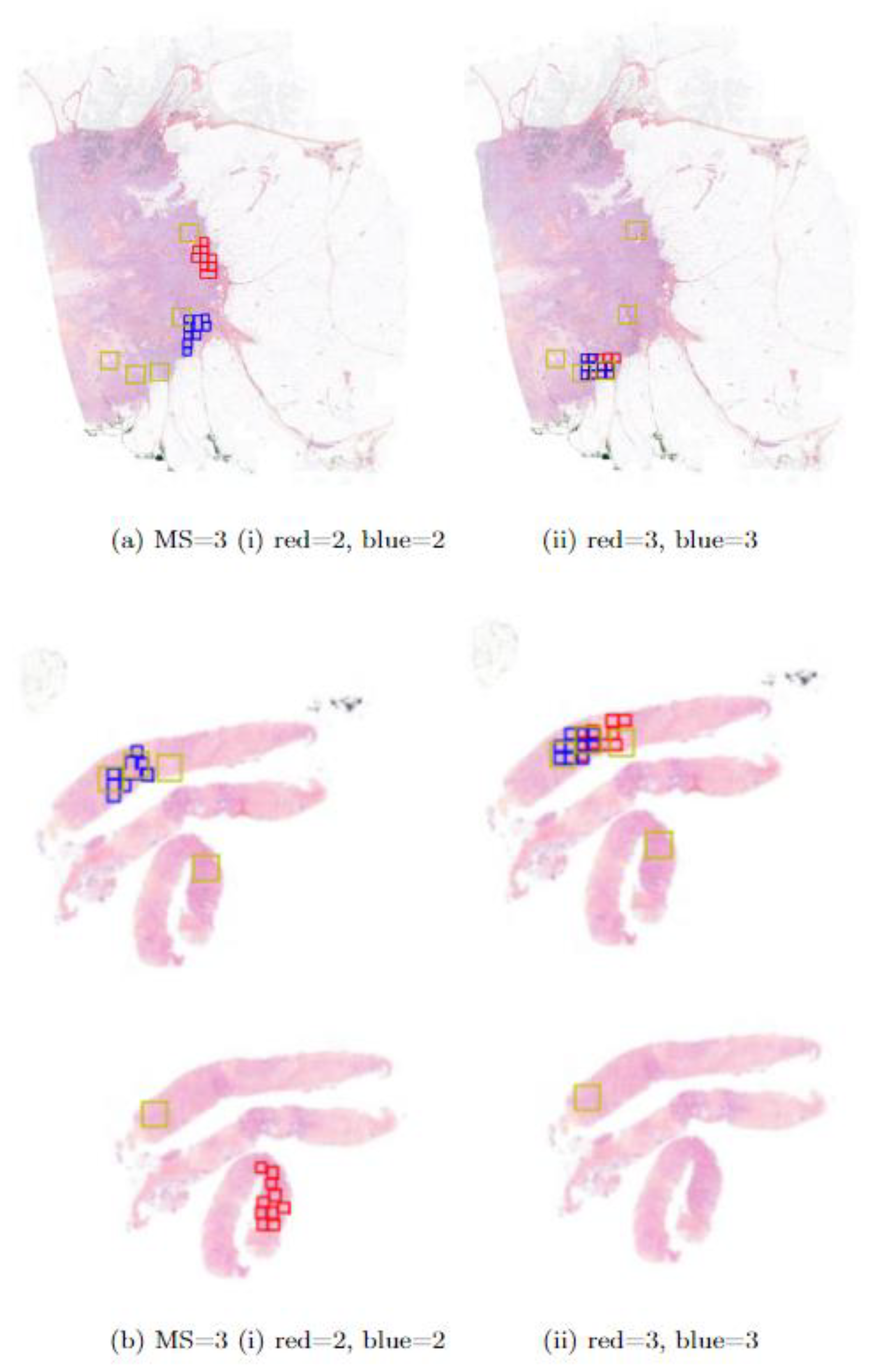 Preprints 150667 g004