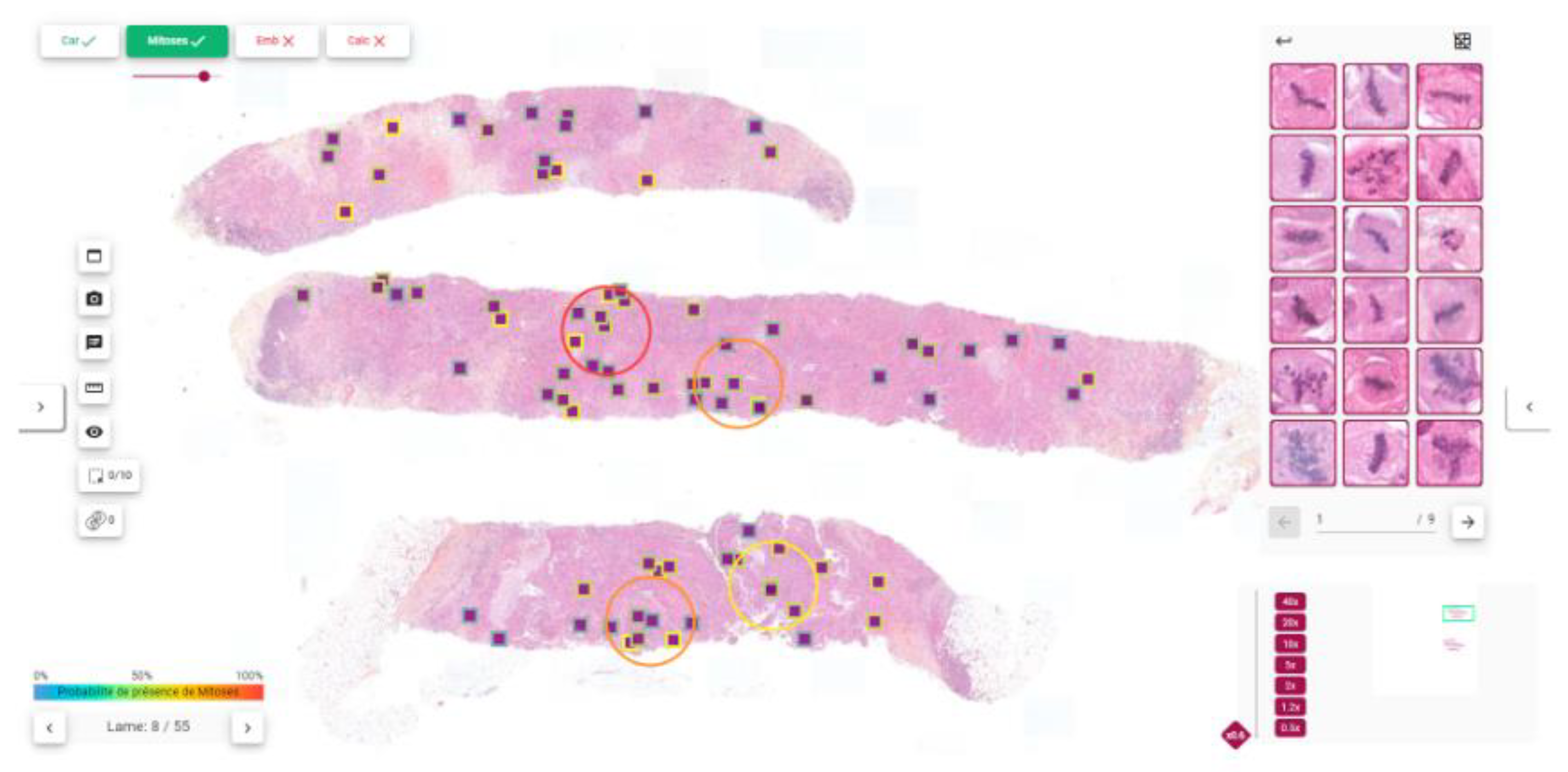 Preprints 150667 g0a5