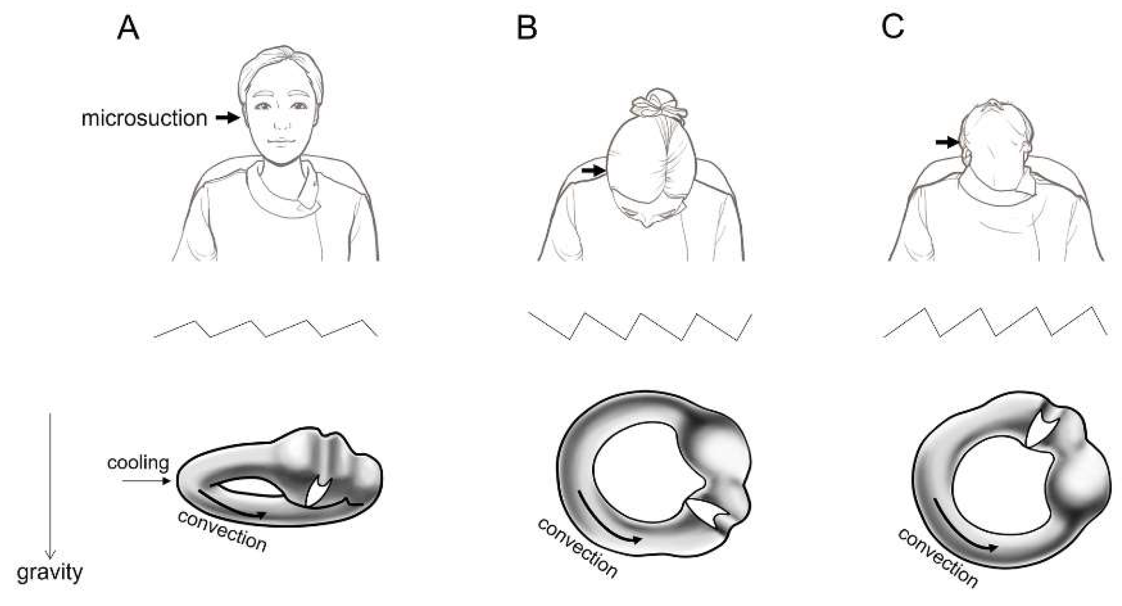 Preprints 150402 g001
