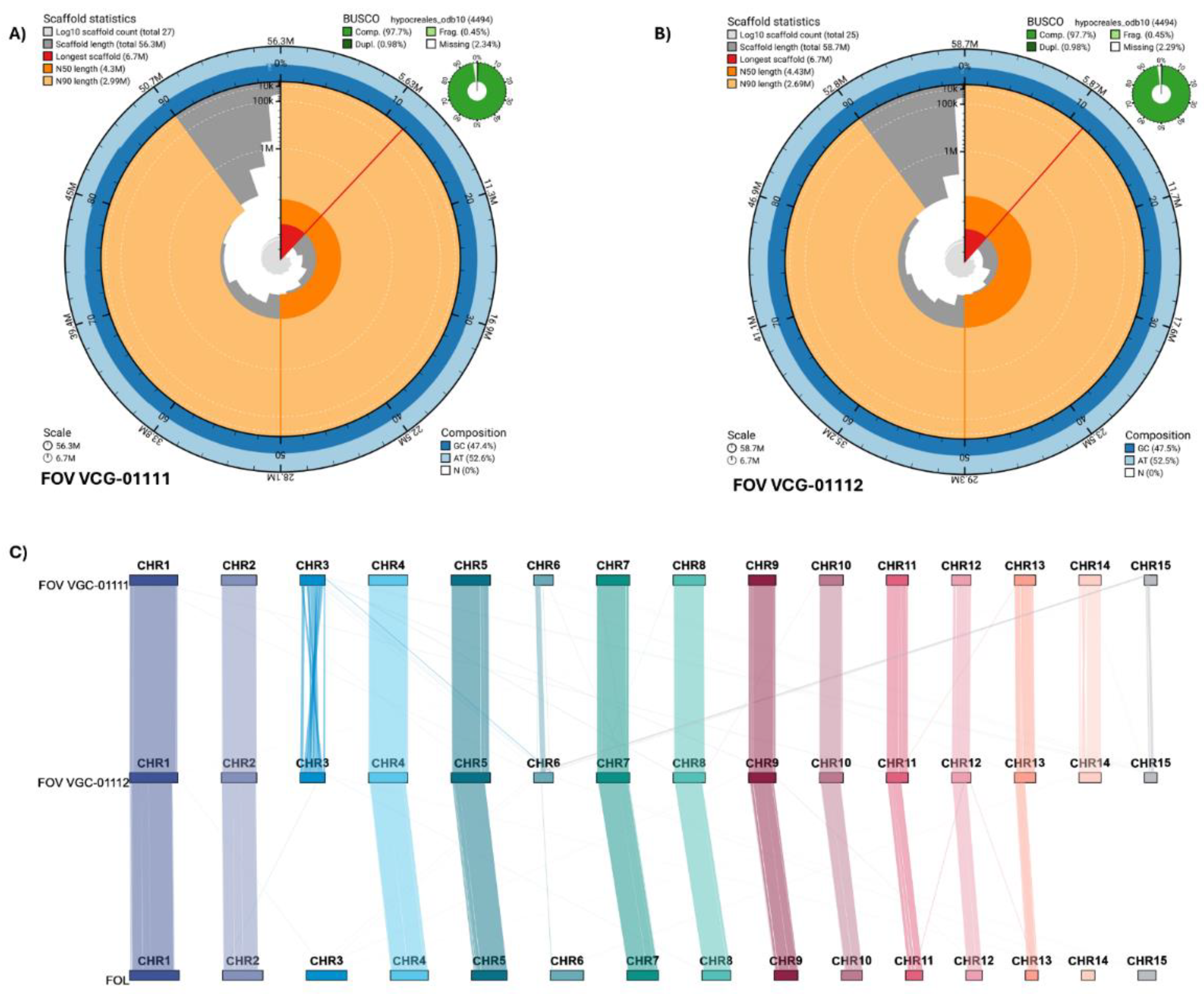 Preprints 159328 g001