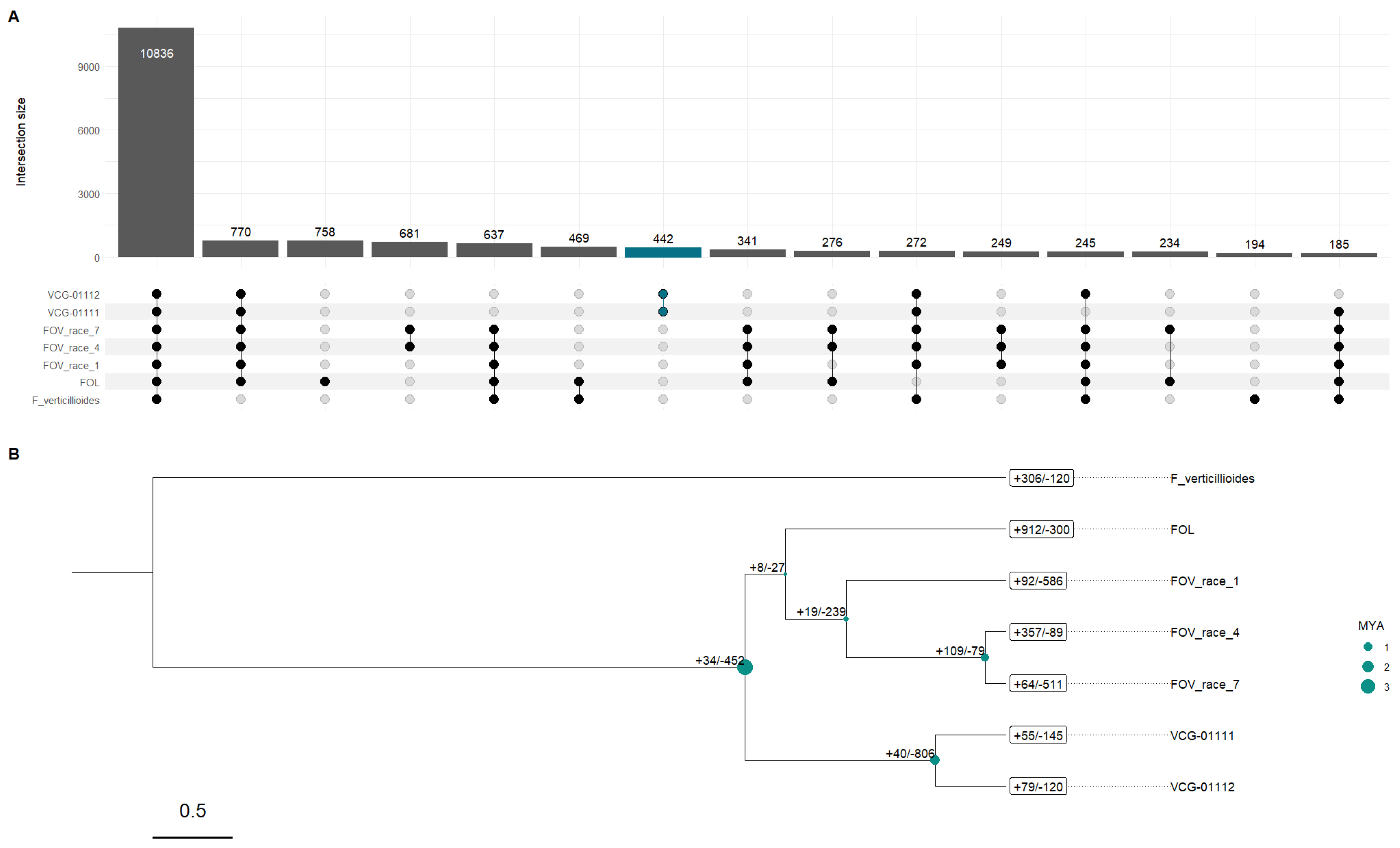 Preprints 159328 g002
