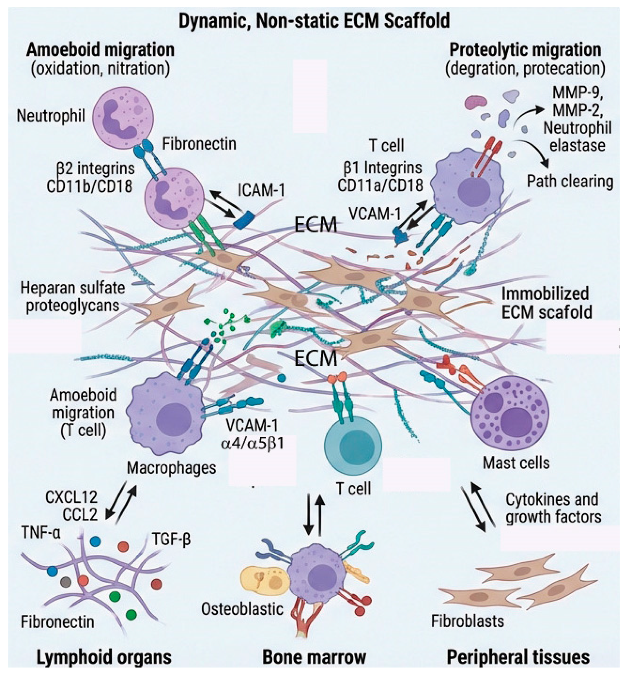Preprints 195785 g001