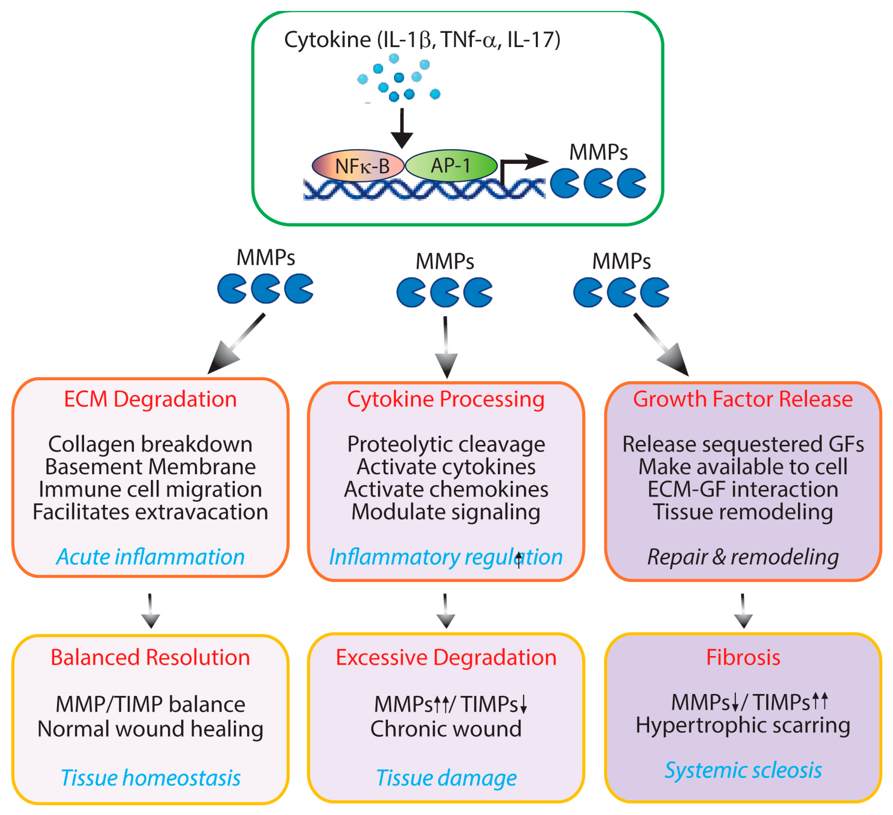 Preprints 195785 g002