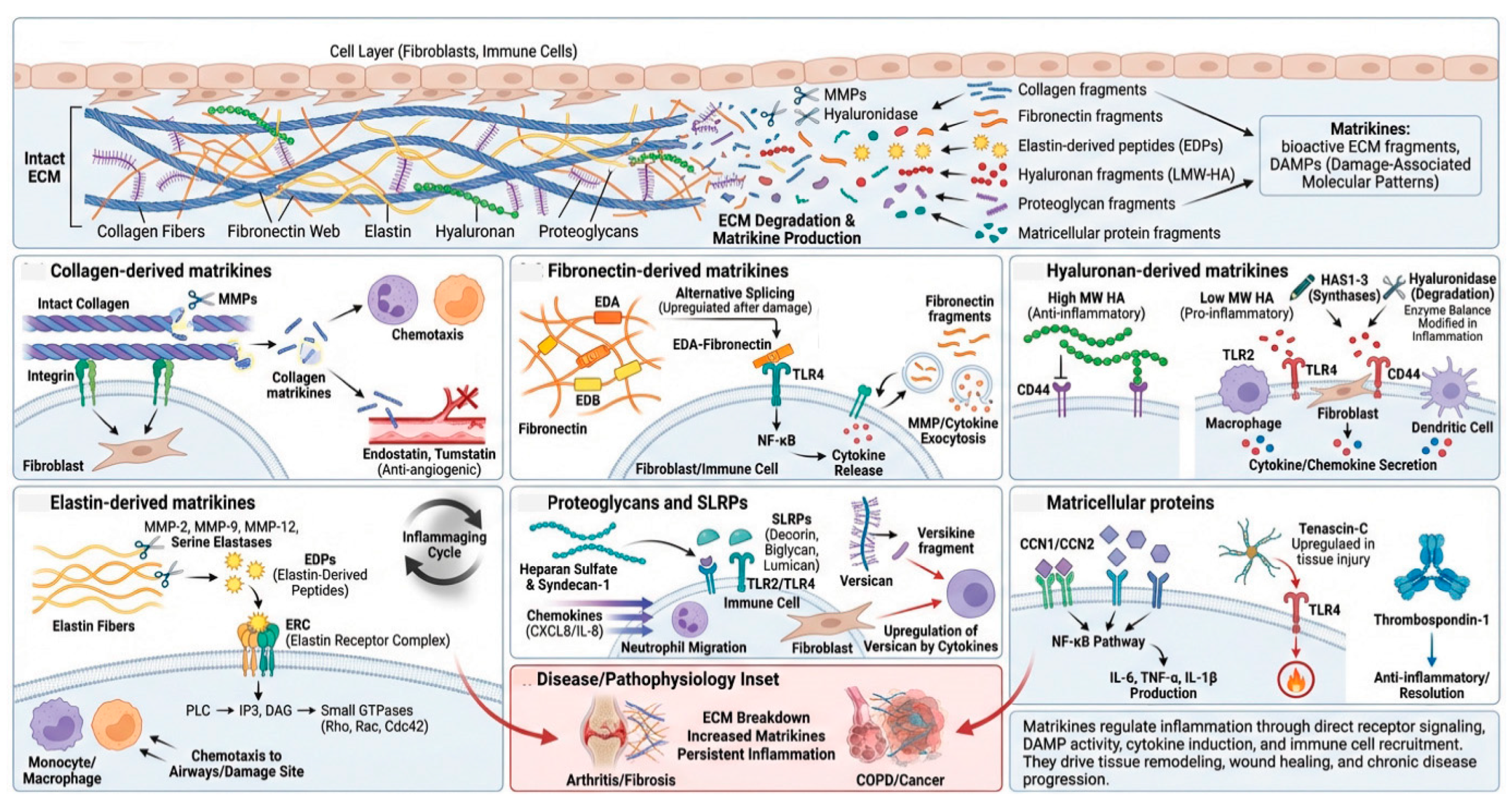 Preprints 195785 g003