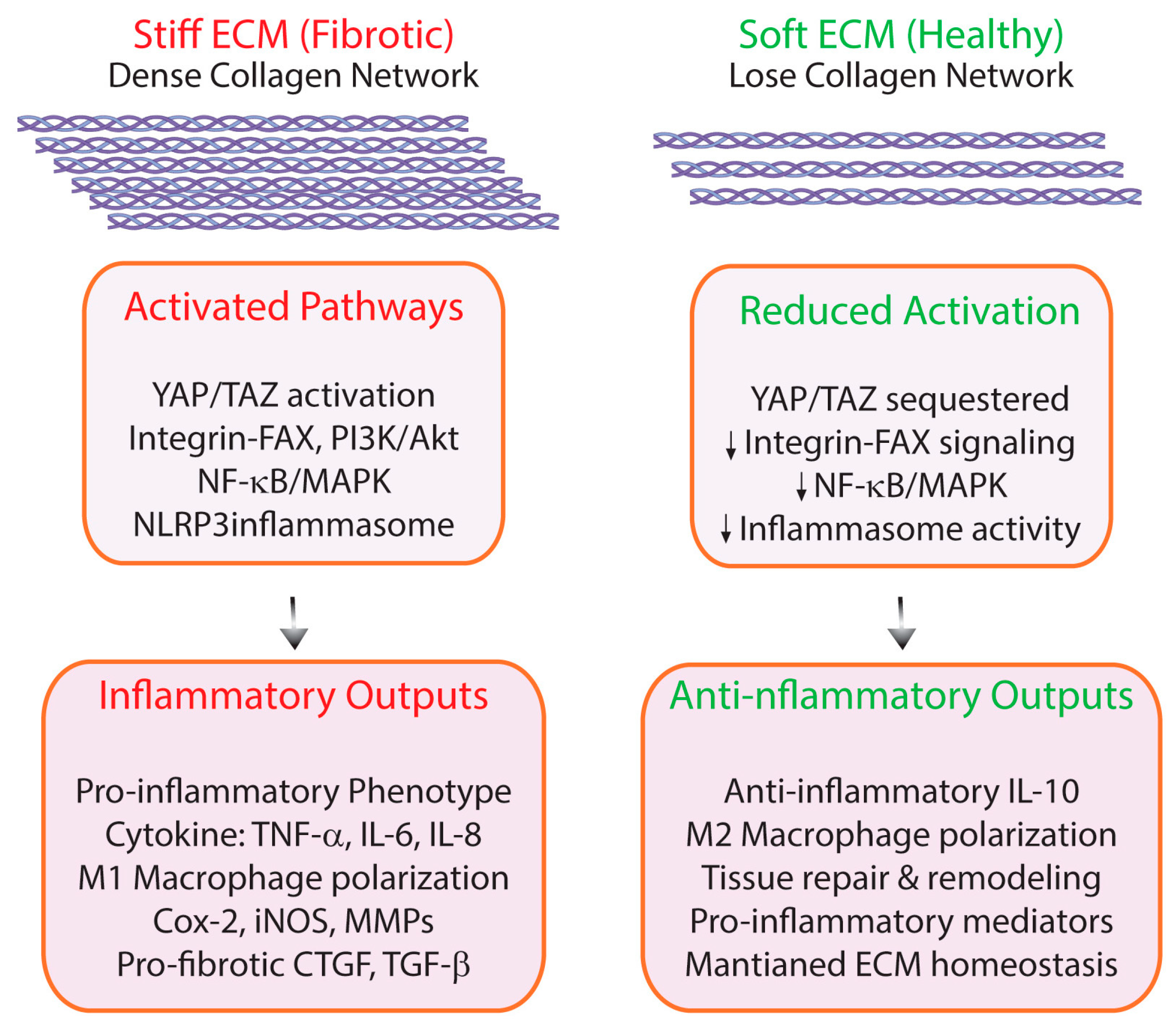 Preprints 195785 g004