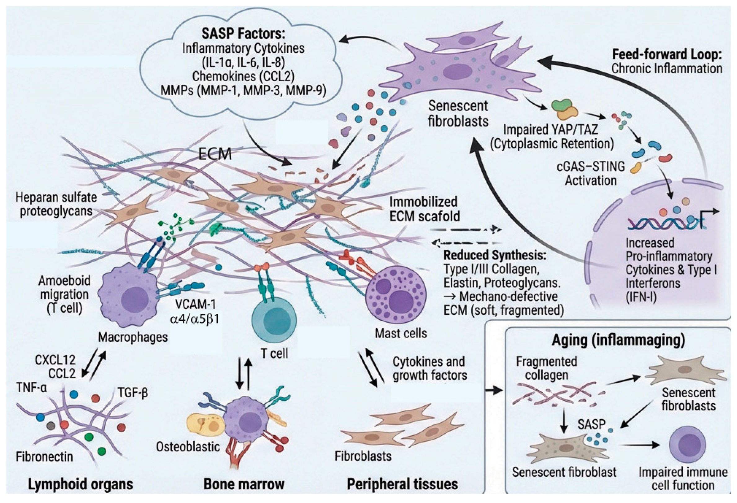 Preprints 195785 g005