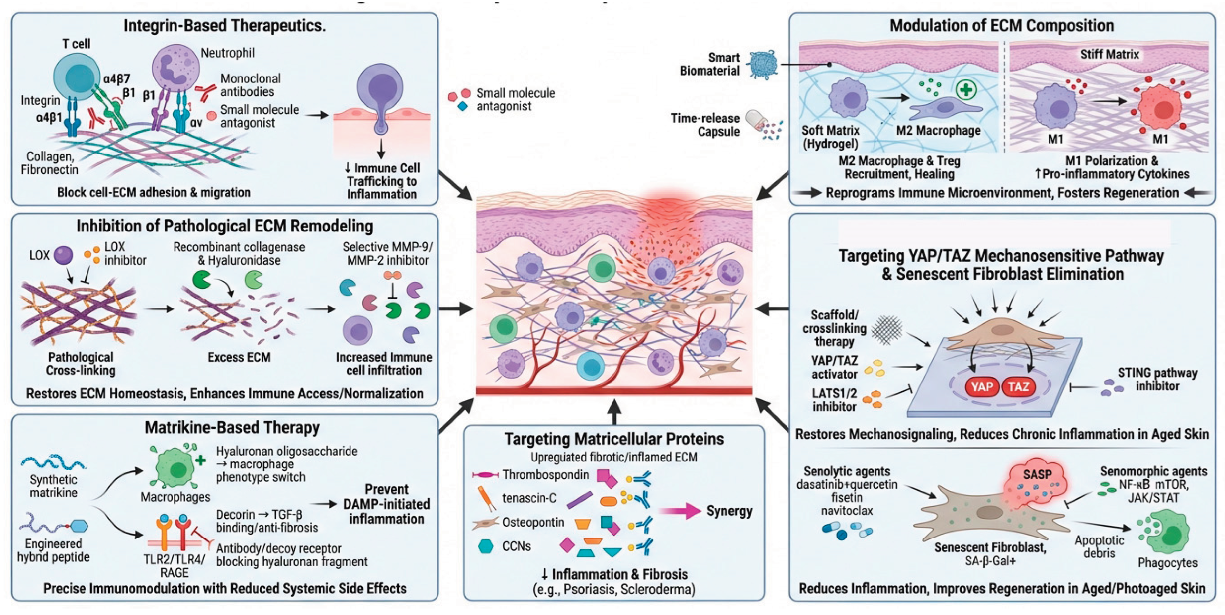 Preprints 195785 g006