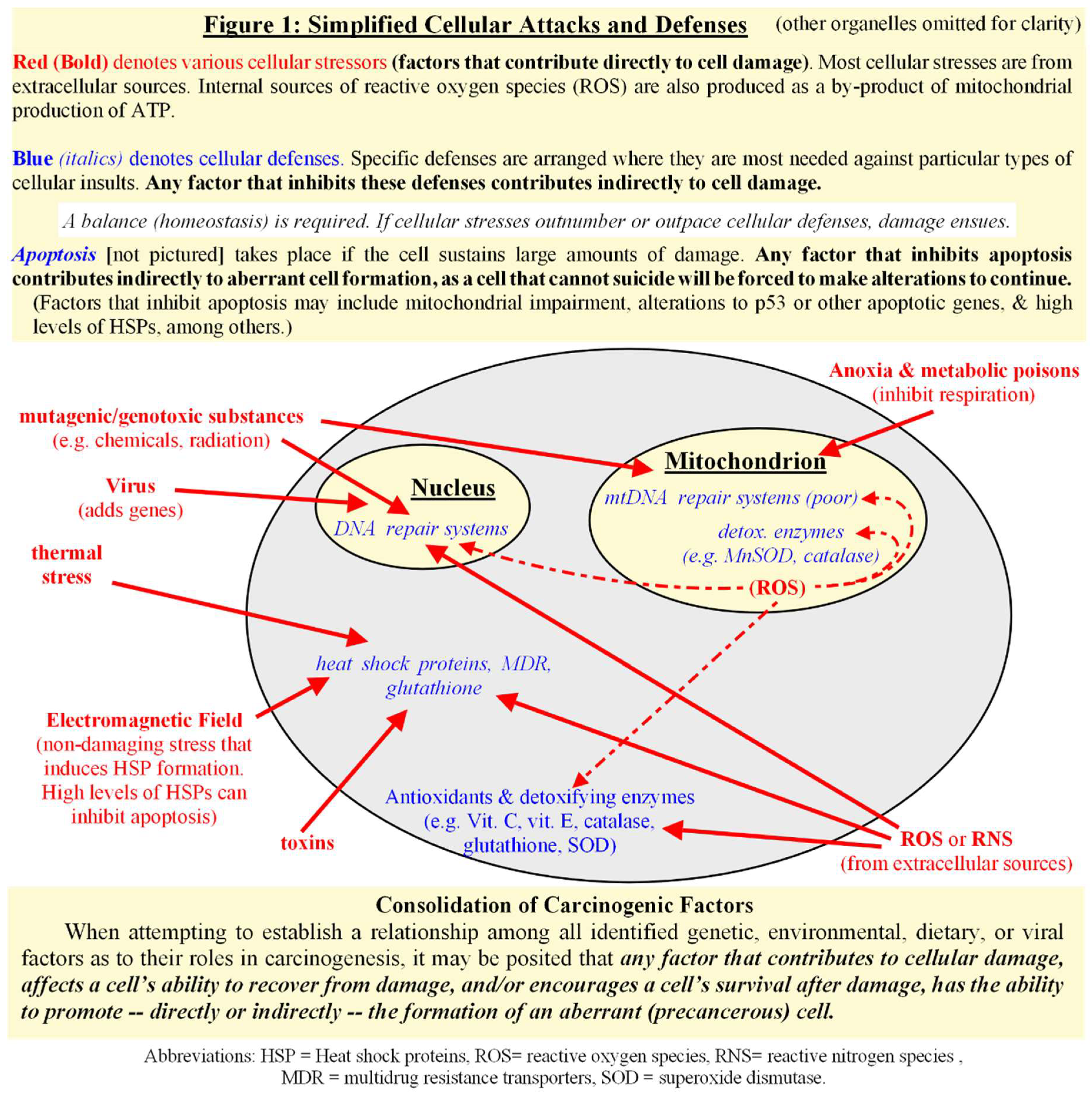 Preprints 139925 g001