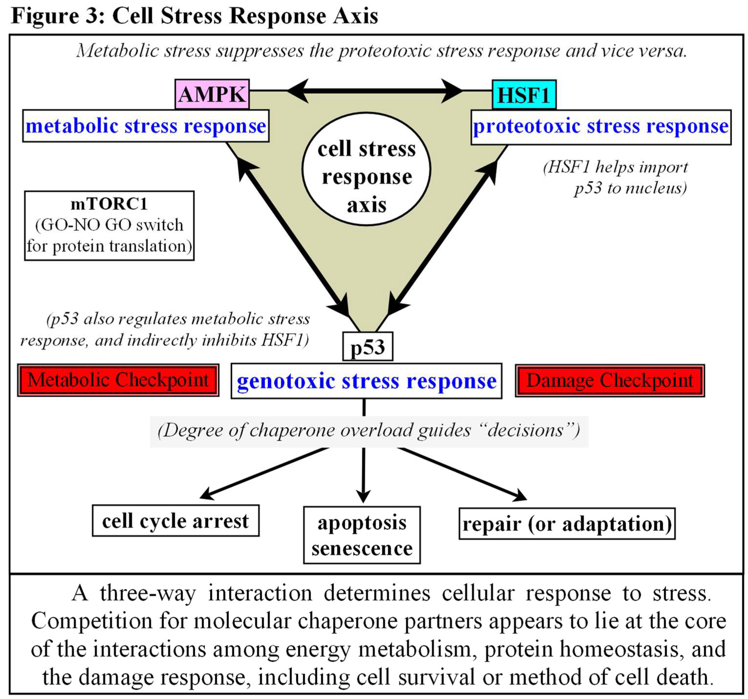 Preprints 139925 g003