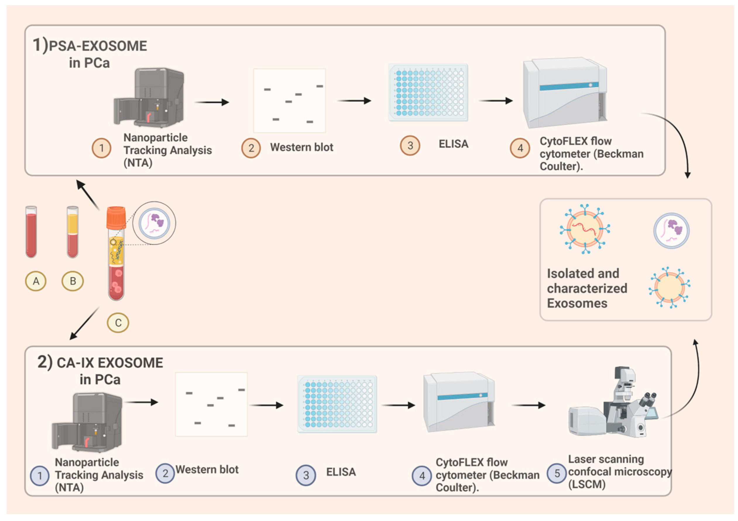 Preprints 74190 g001