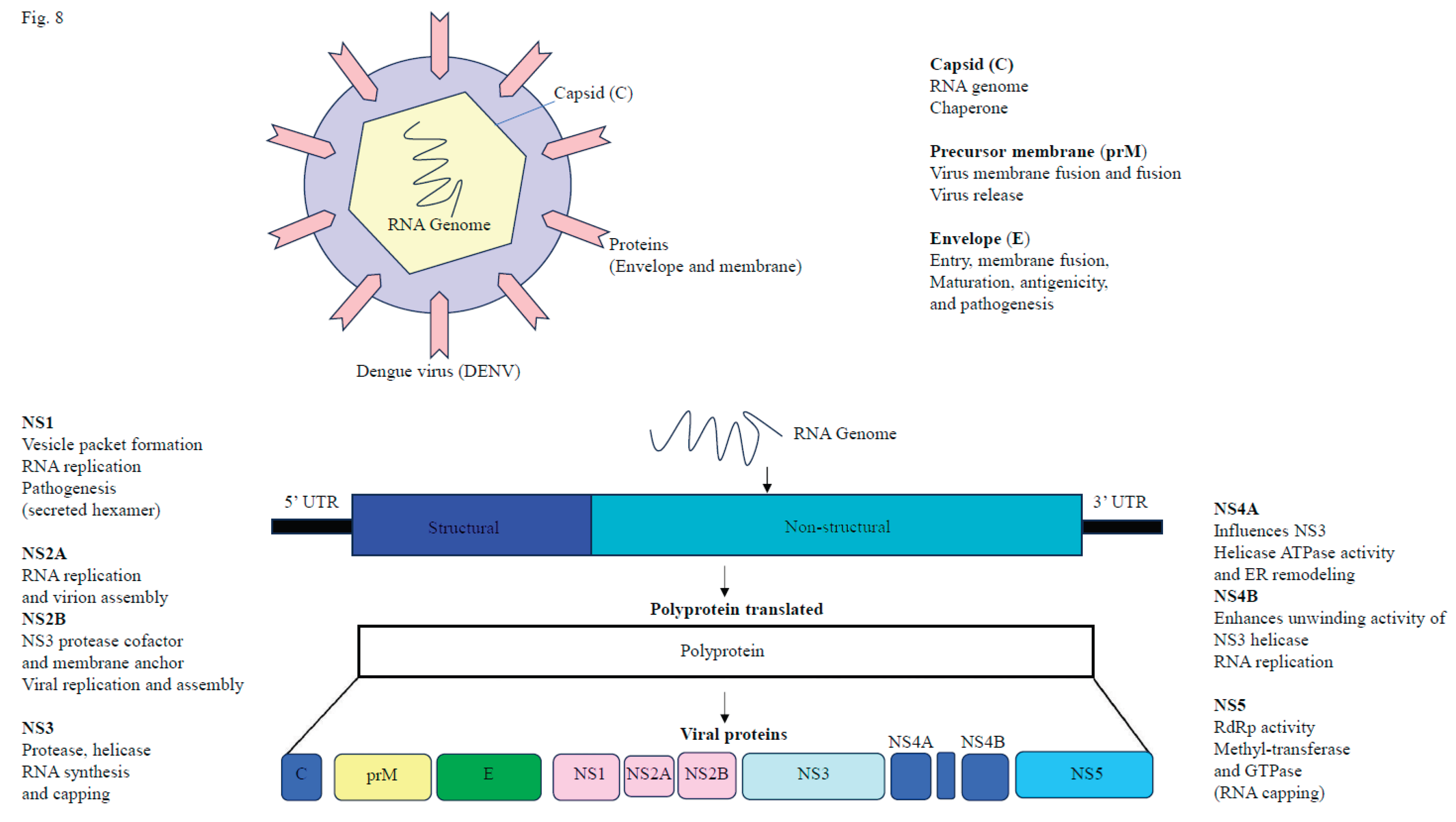 Preprints 192712 g008