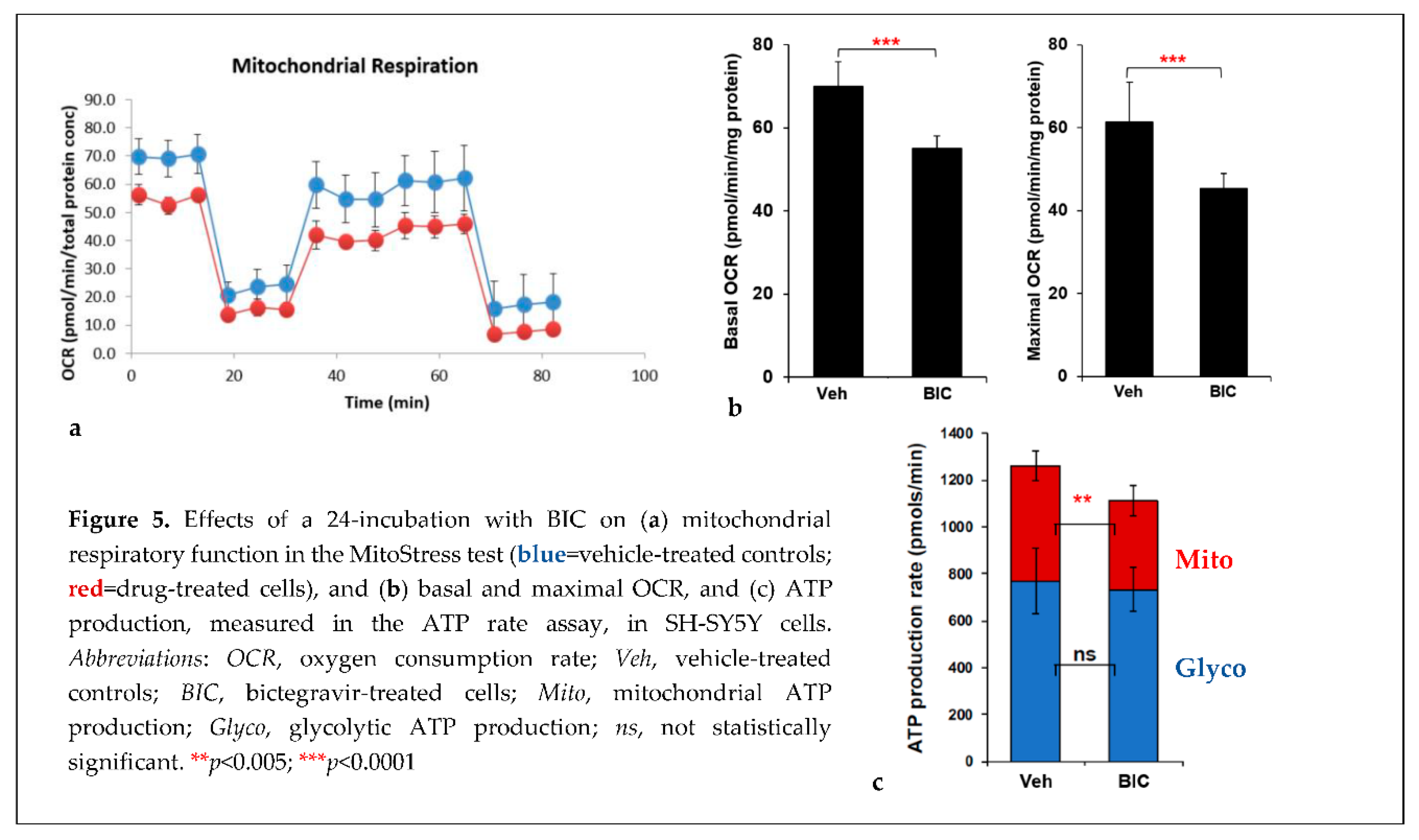 Preprints 80008 i005