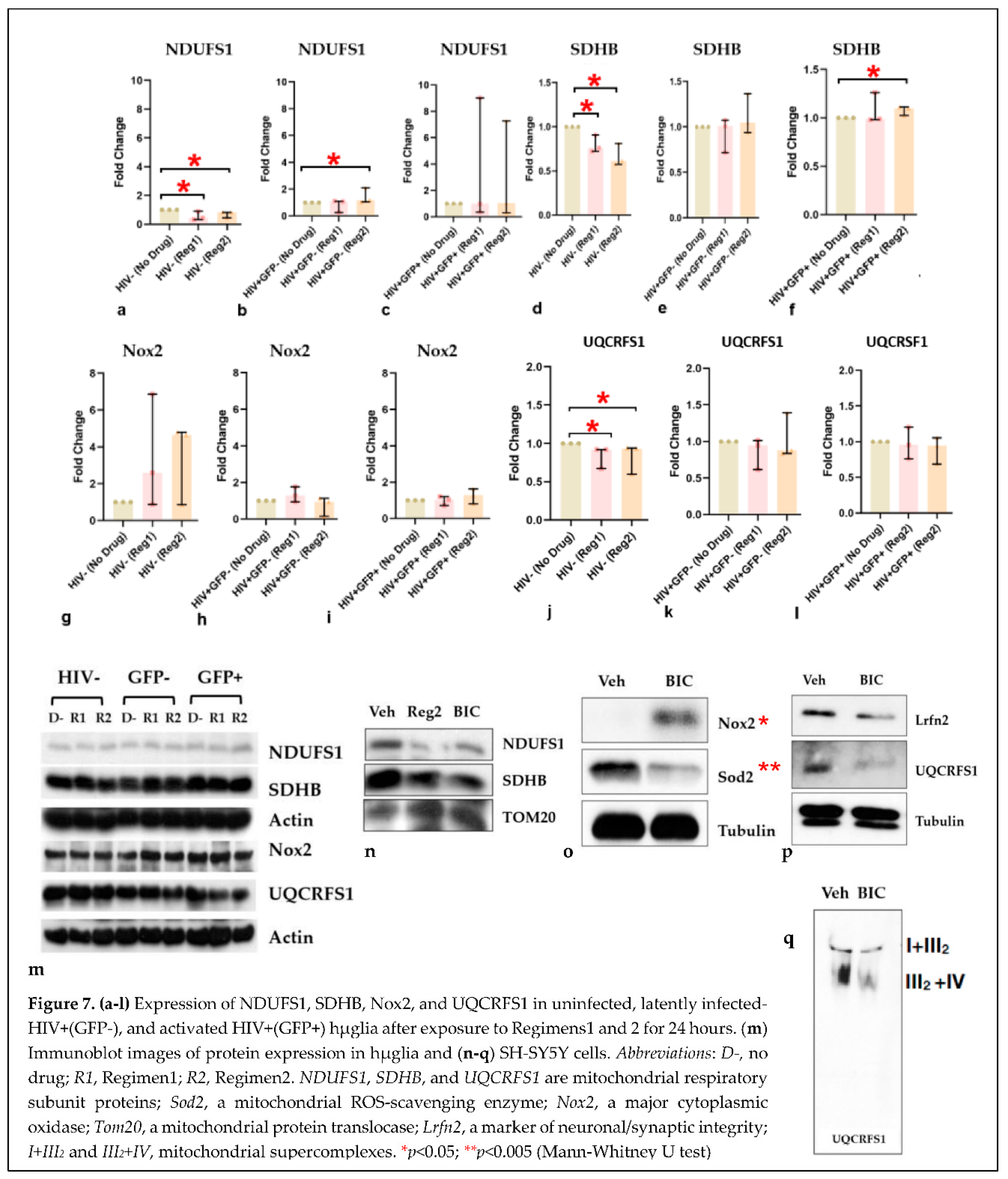 Preprints 80008 i007
