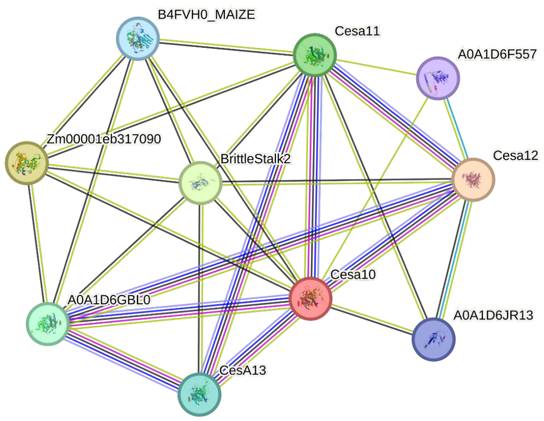Preprints 214368 g004