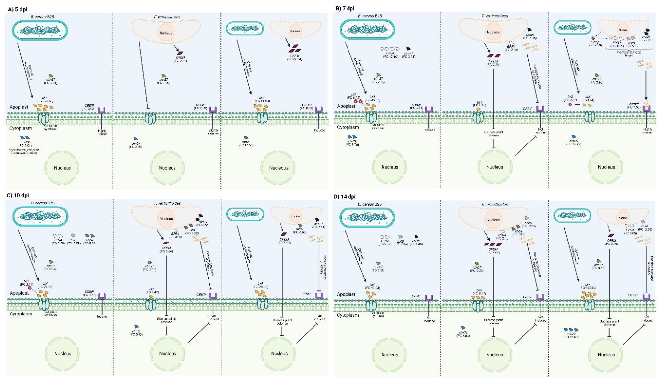 Preprints 214368 g005