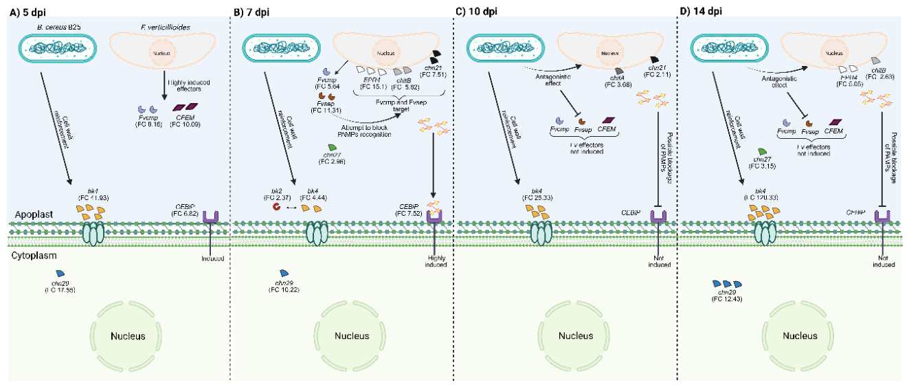 Preprints 214368 g006