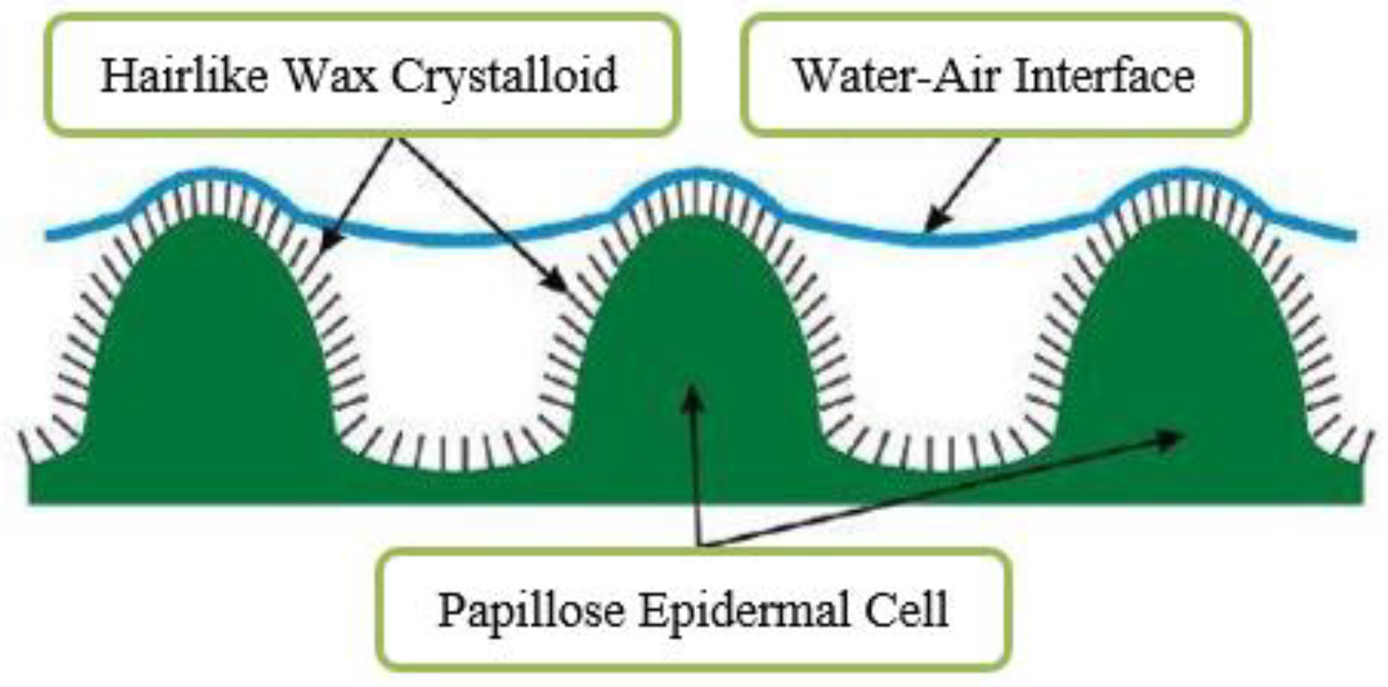 Preprints 82733 g002