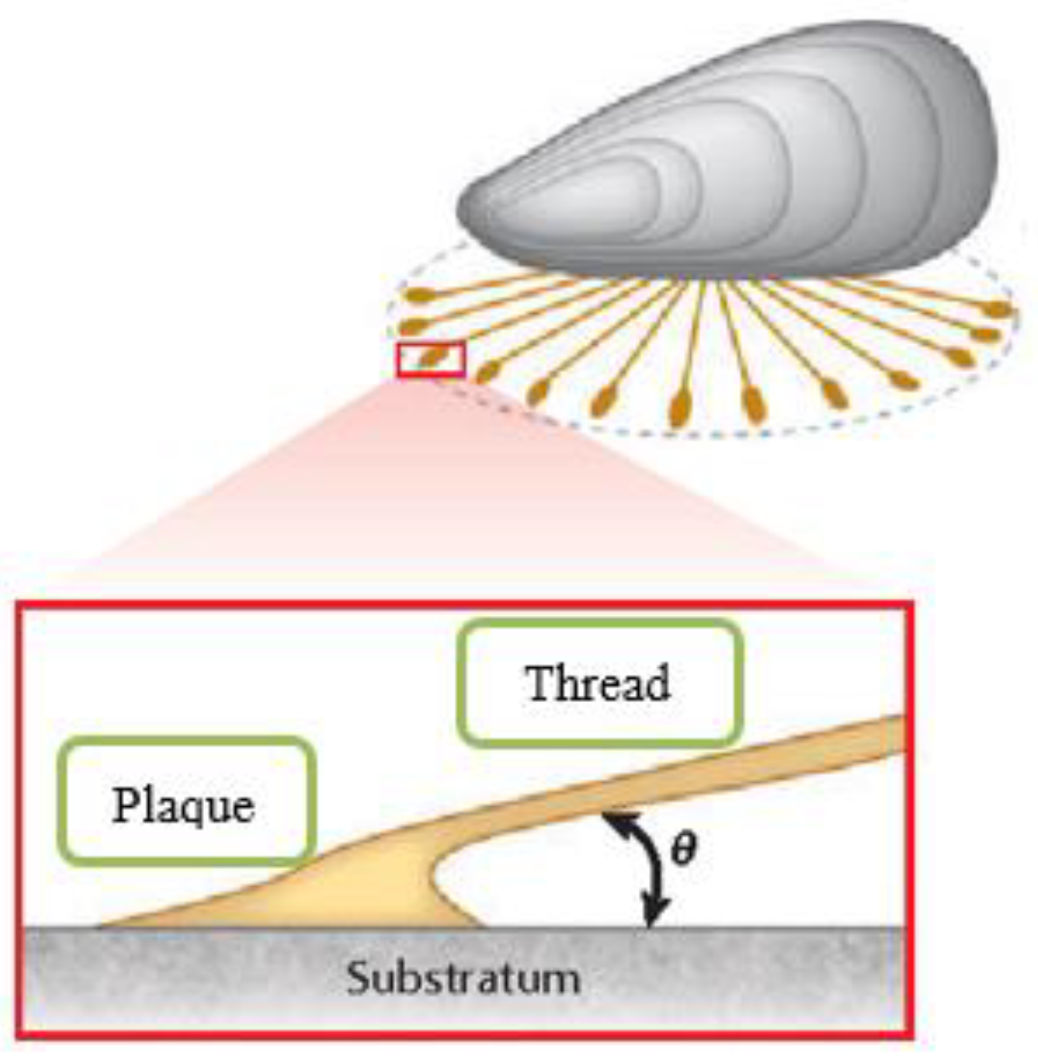 Preprints 82733 g005
