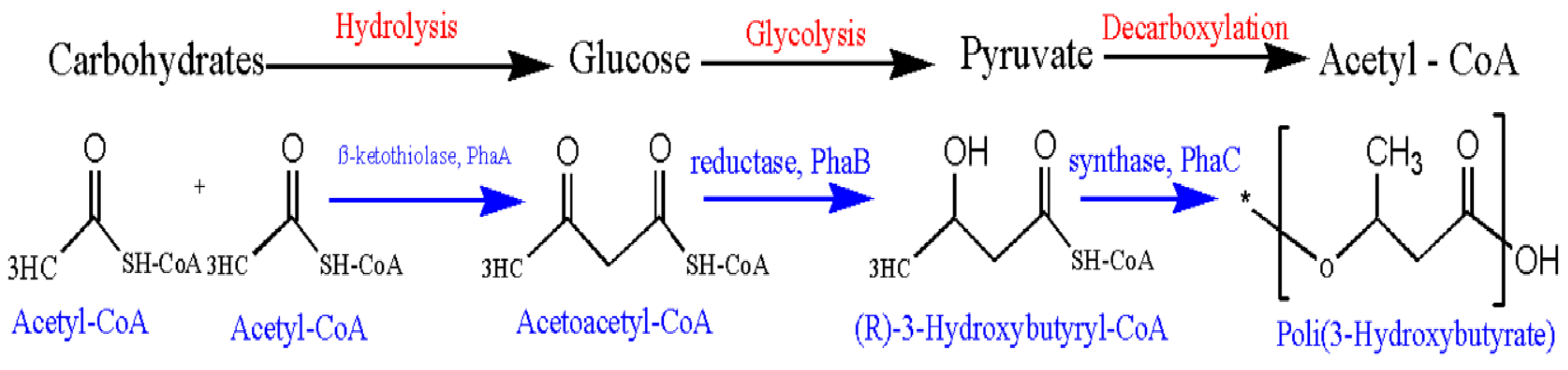 Preprints 167443 g001