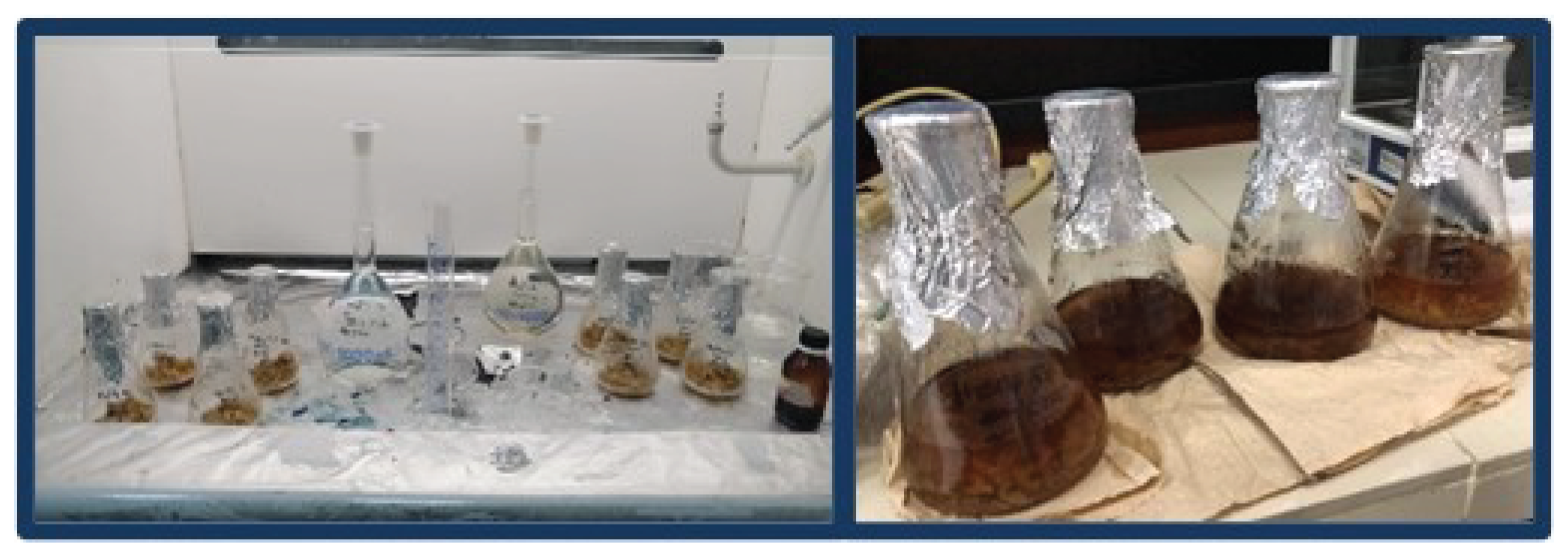 Preprints 167443 g003