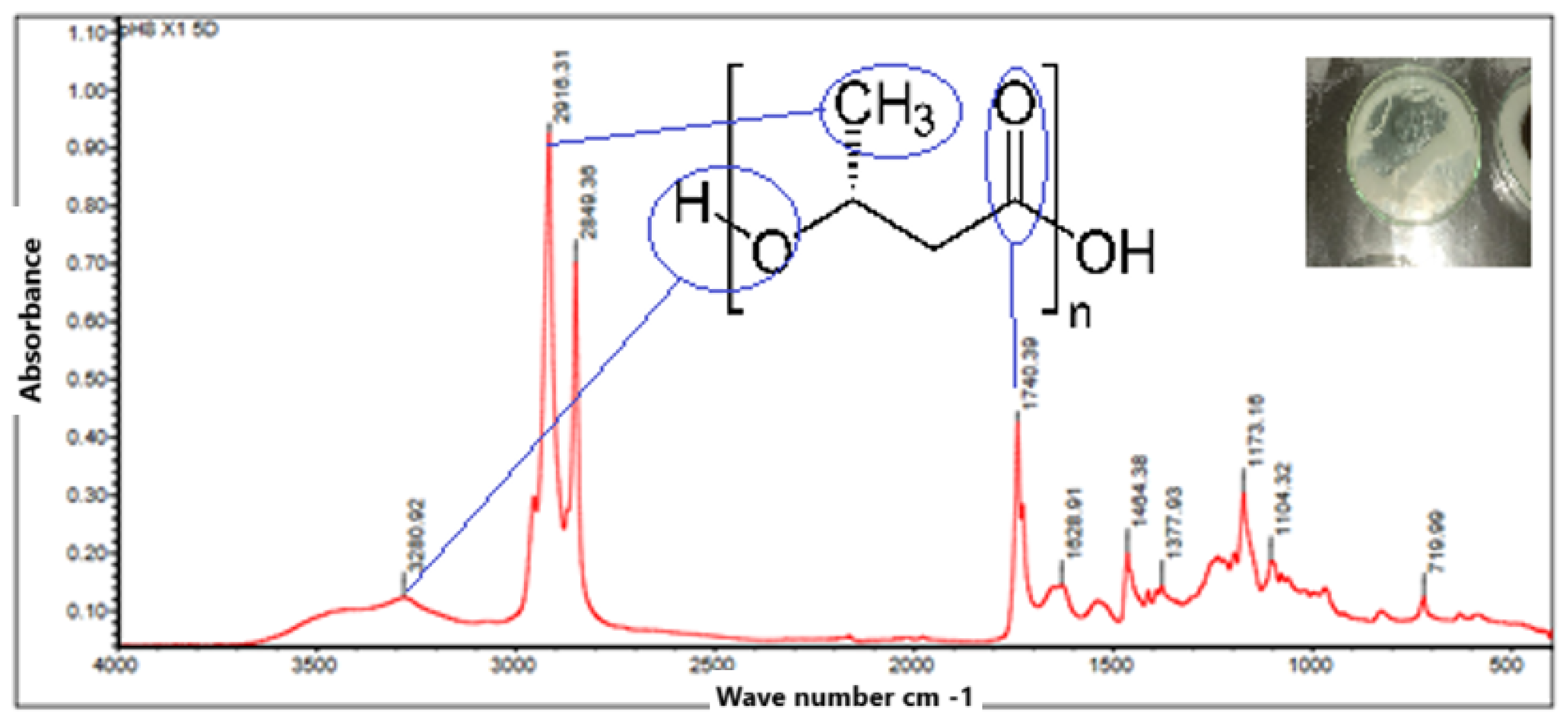 Preprints 167443 g011