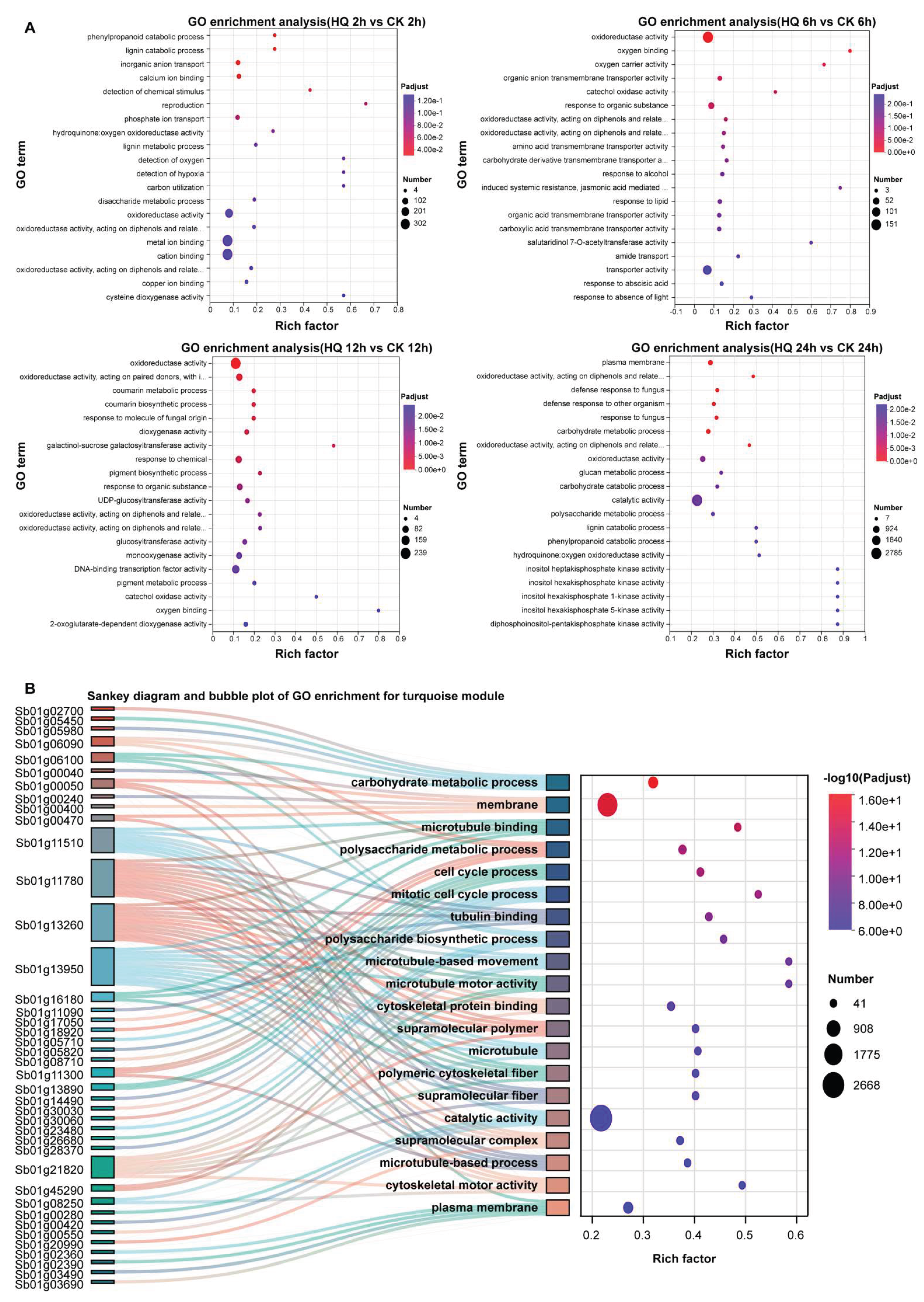 Preprints 234929 g004 Preprints 234929 g004