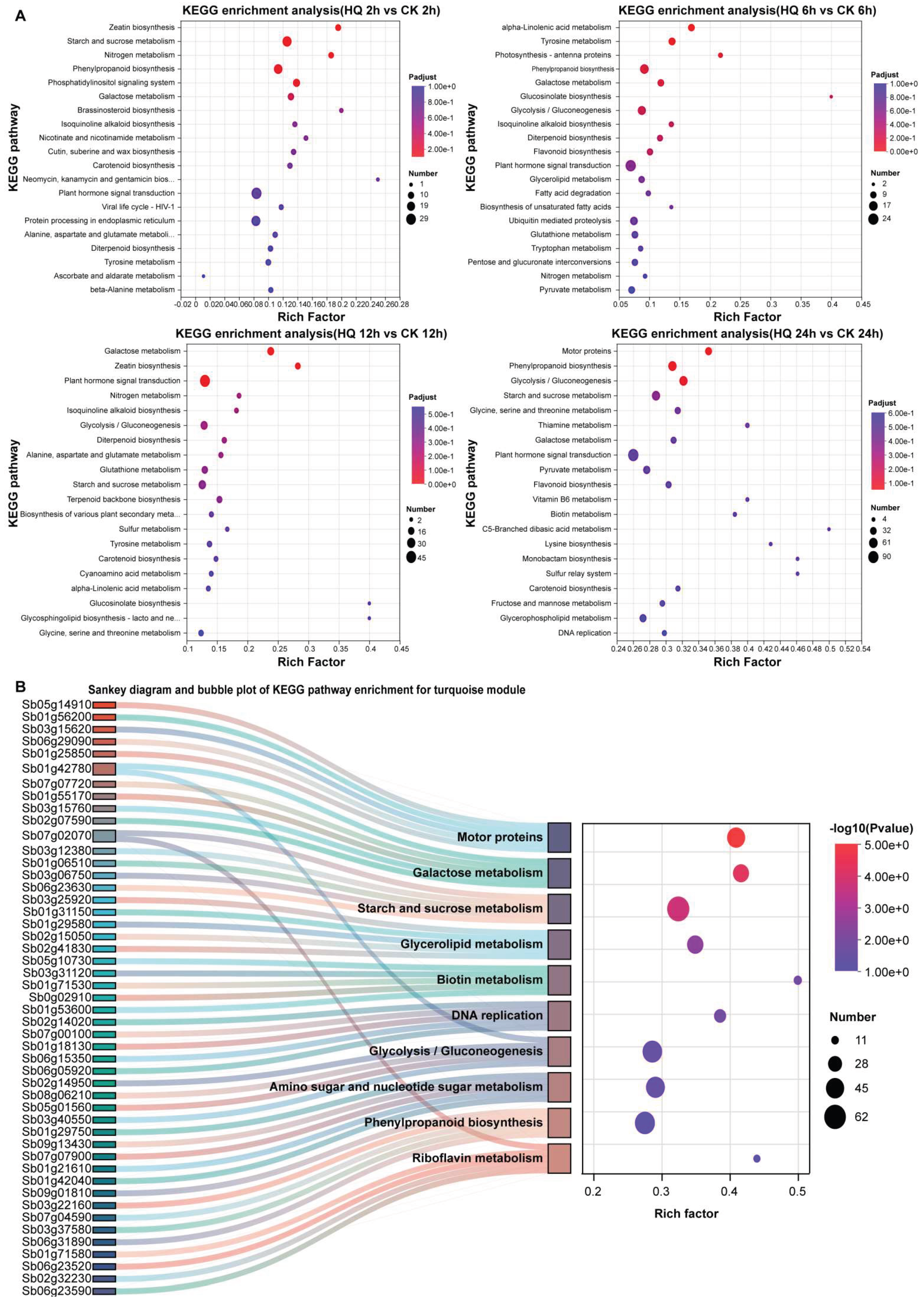 Preprints 234929 g005 Preprints 234929 g005