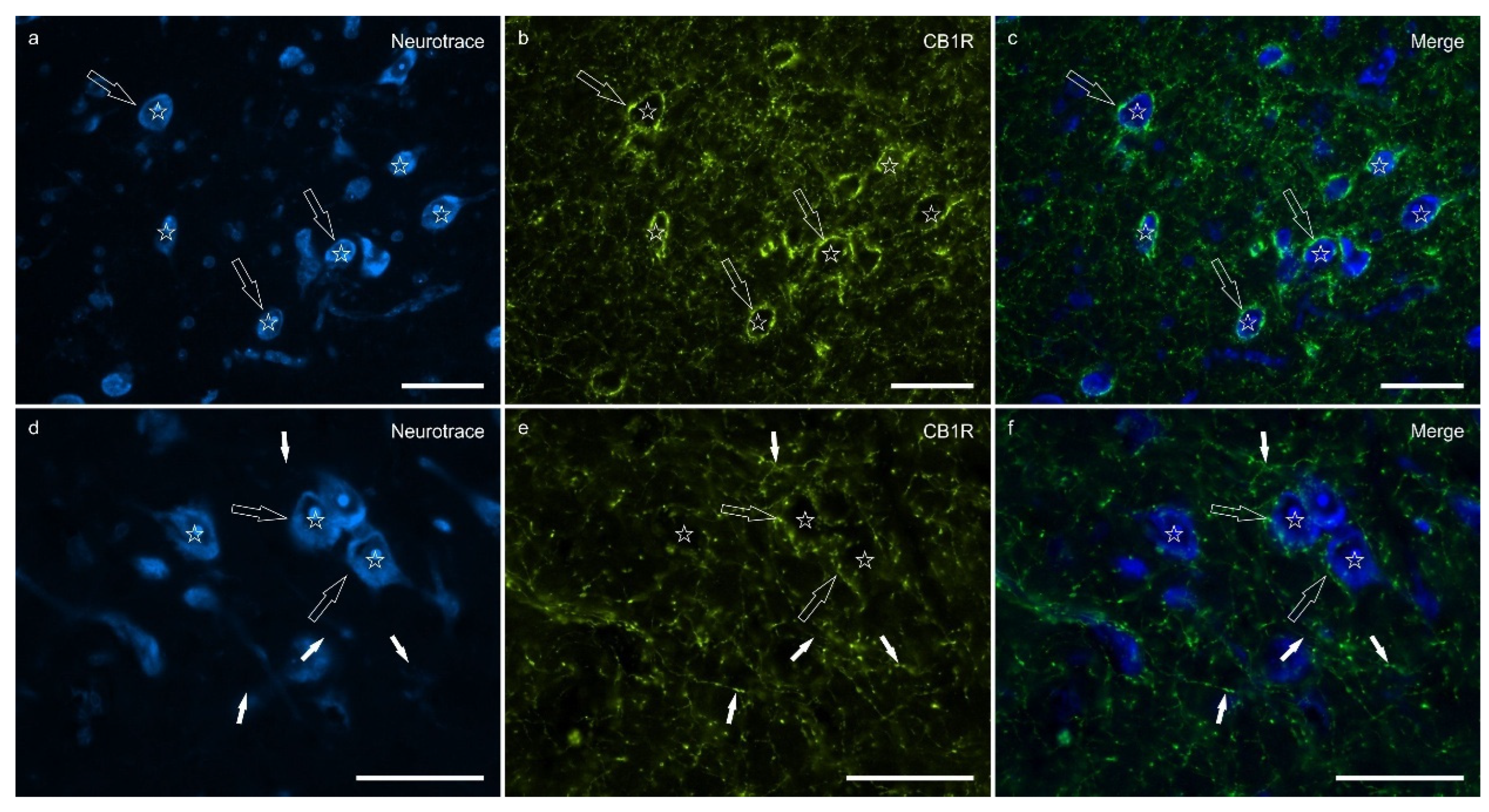 Preprints 164129 g002