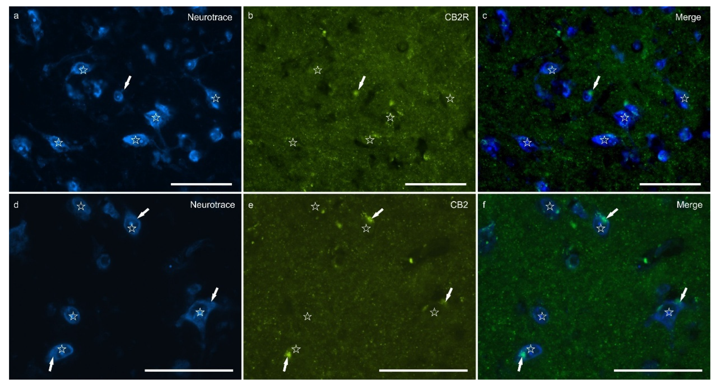Preprints 164129 g003