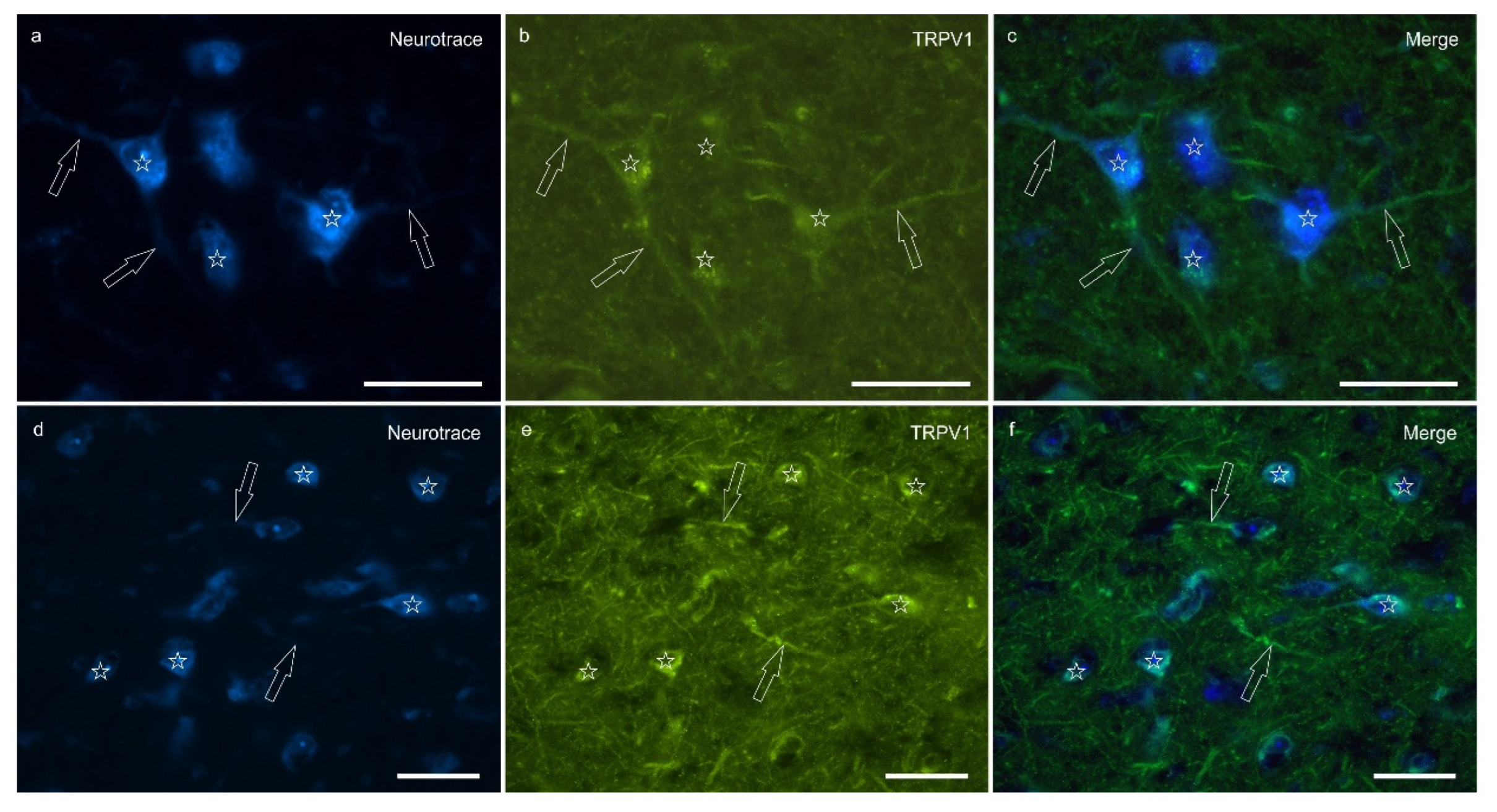 Preprints 164129 g004
