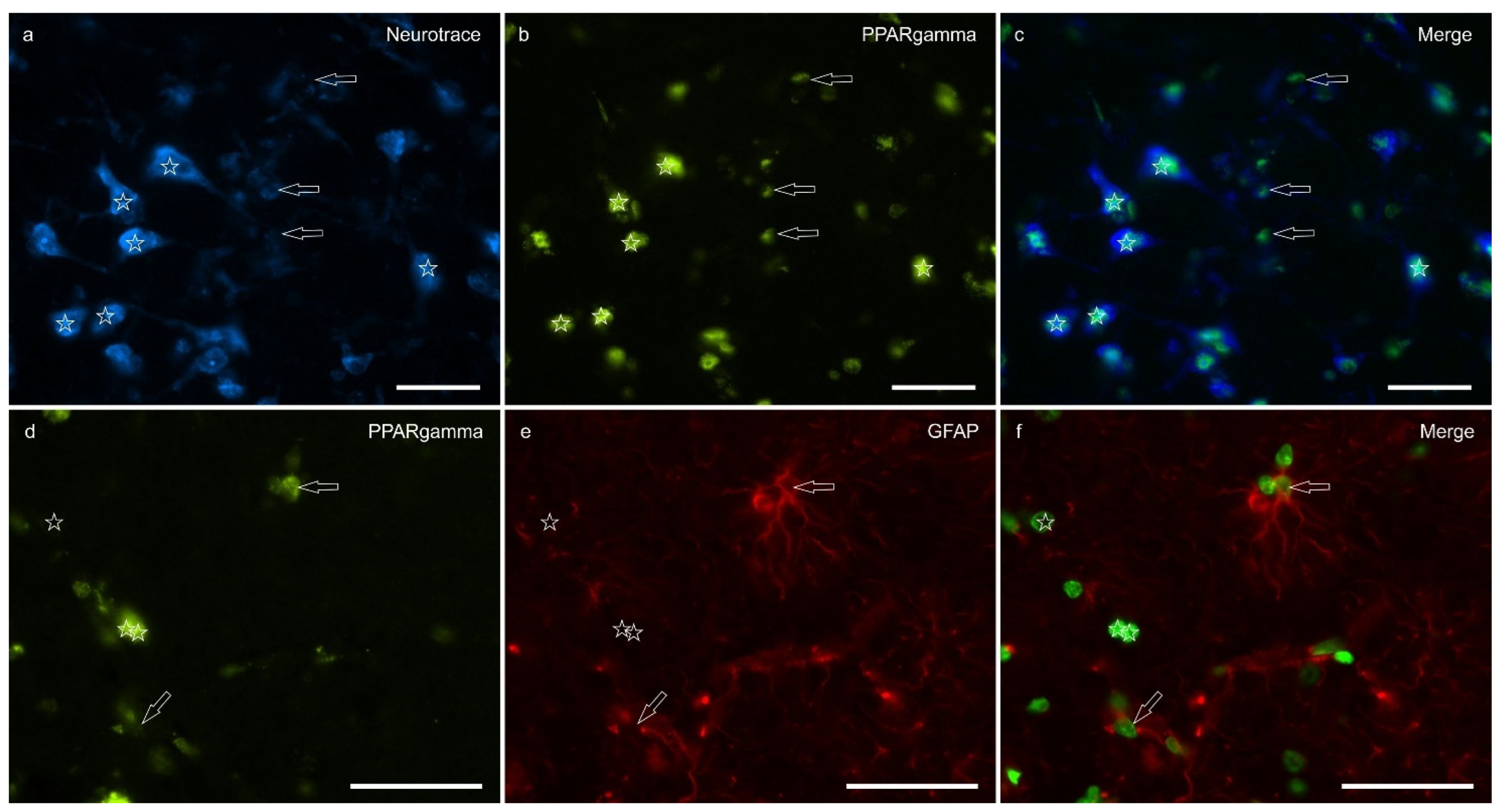 Preprints 164129 g005