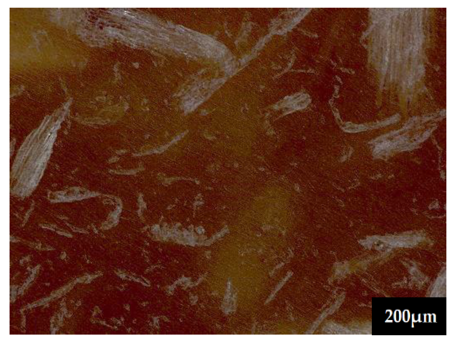 Preprints 142462 g008