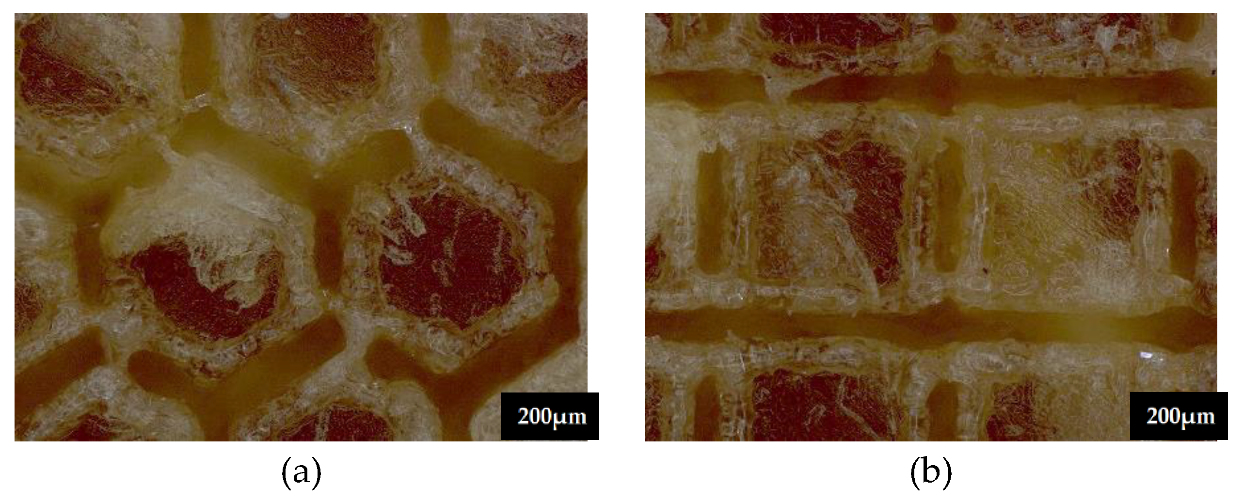 Preprints 142462 g009