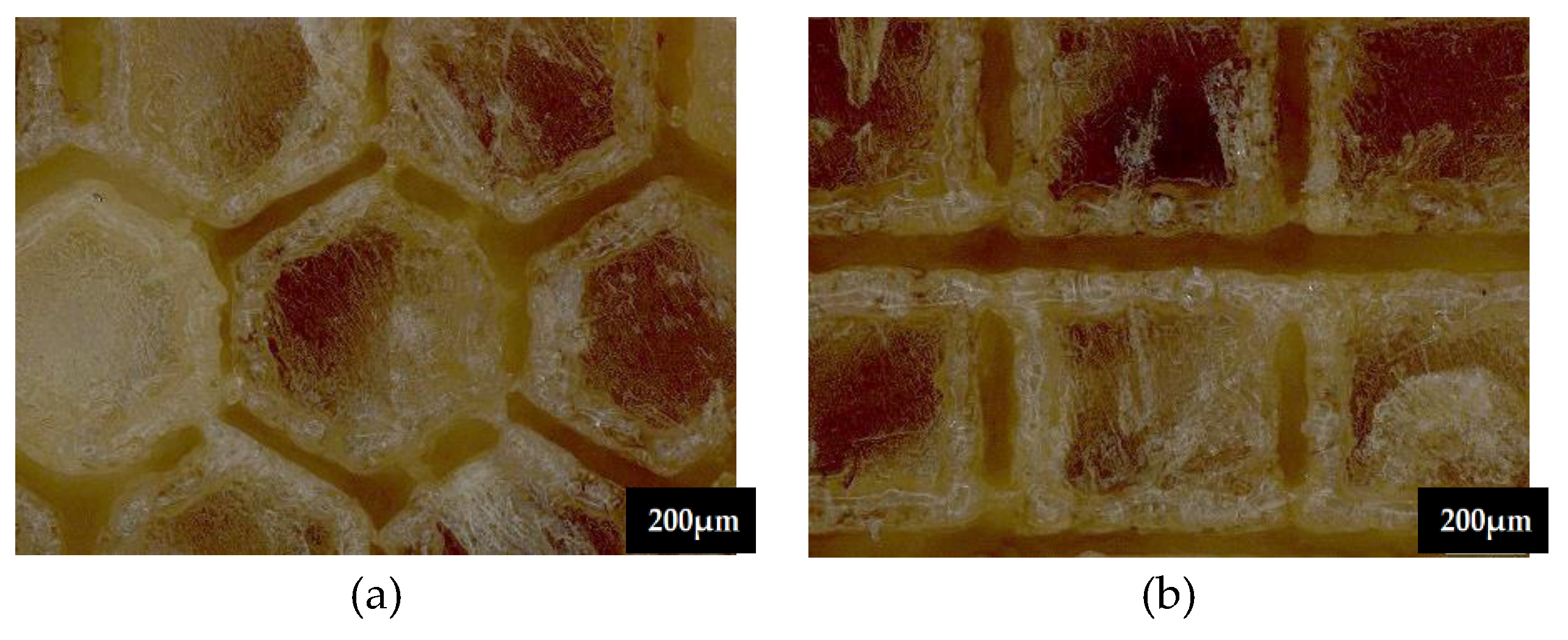 Preprints 142462 g010