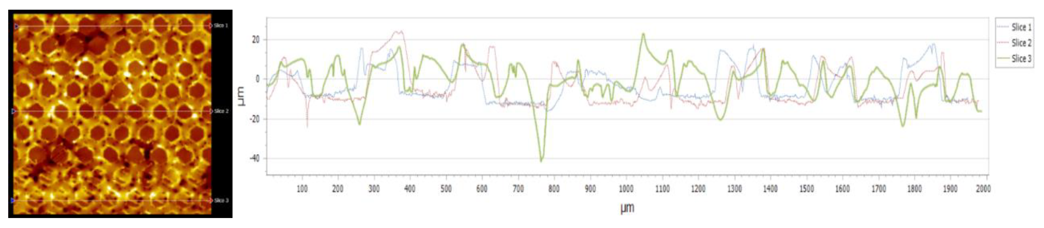 Preprints 142462 g011