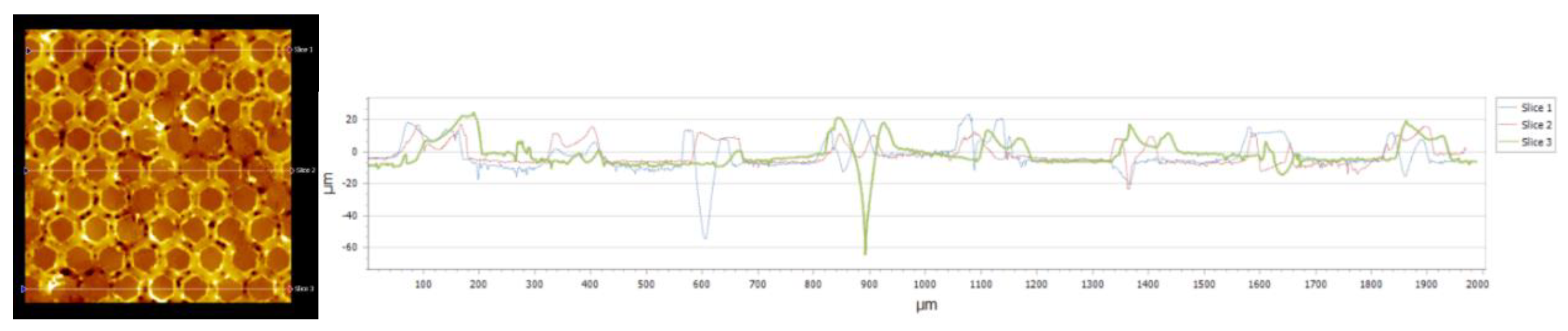 Preprints 142462 g015