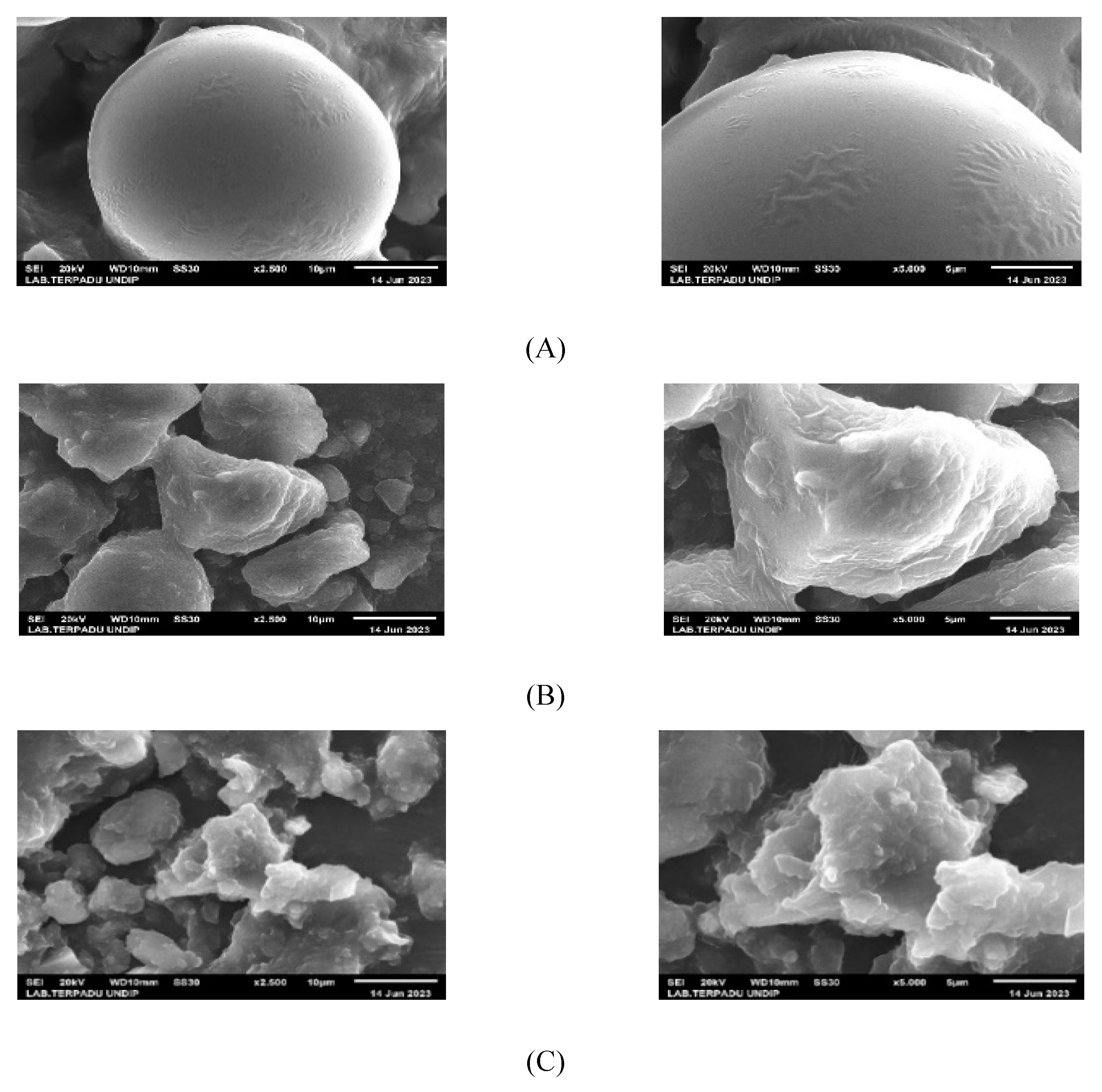 Preprints 91565 g003