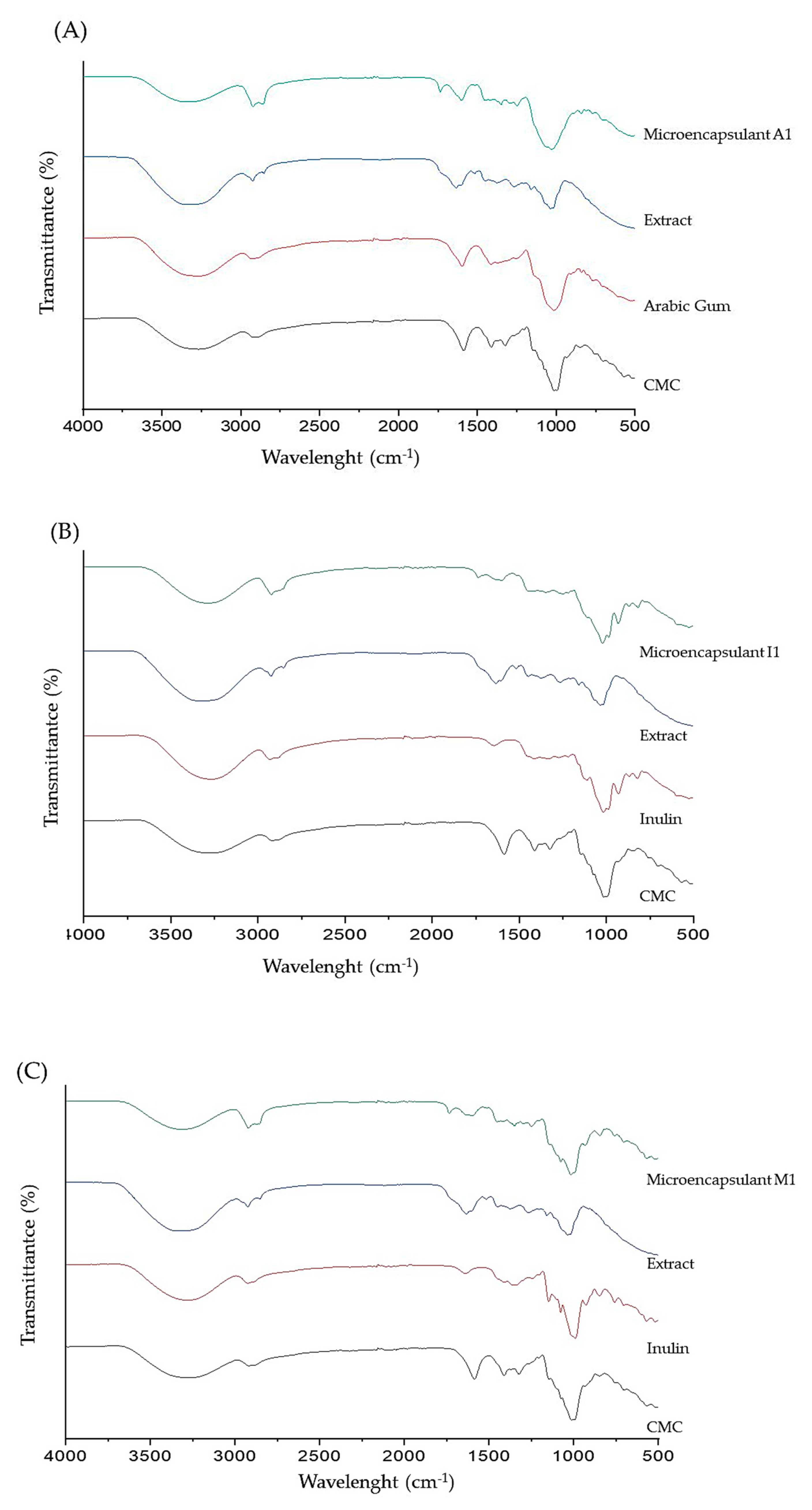 Preprints 91565 g004