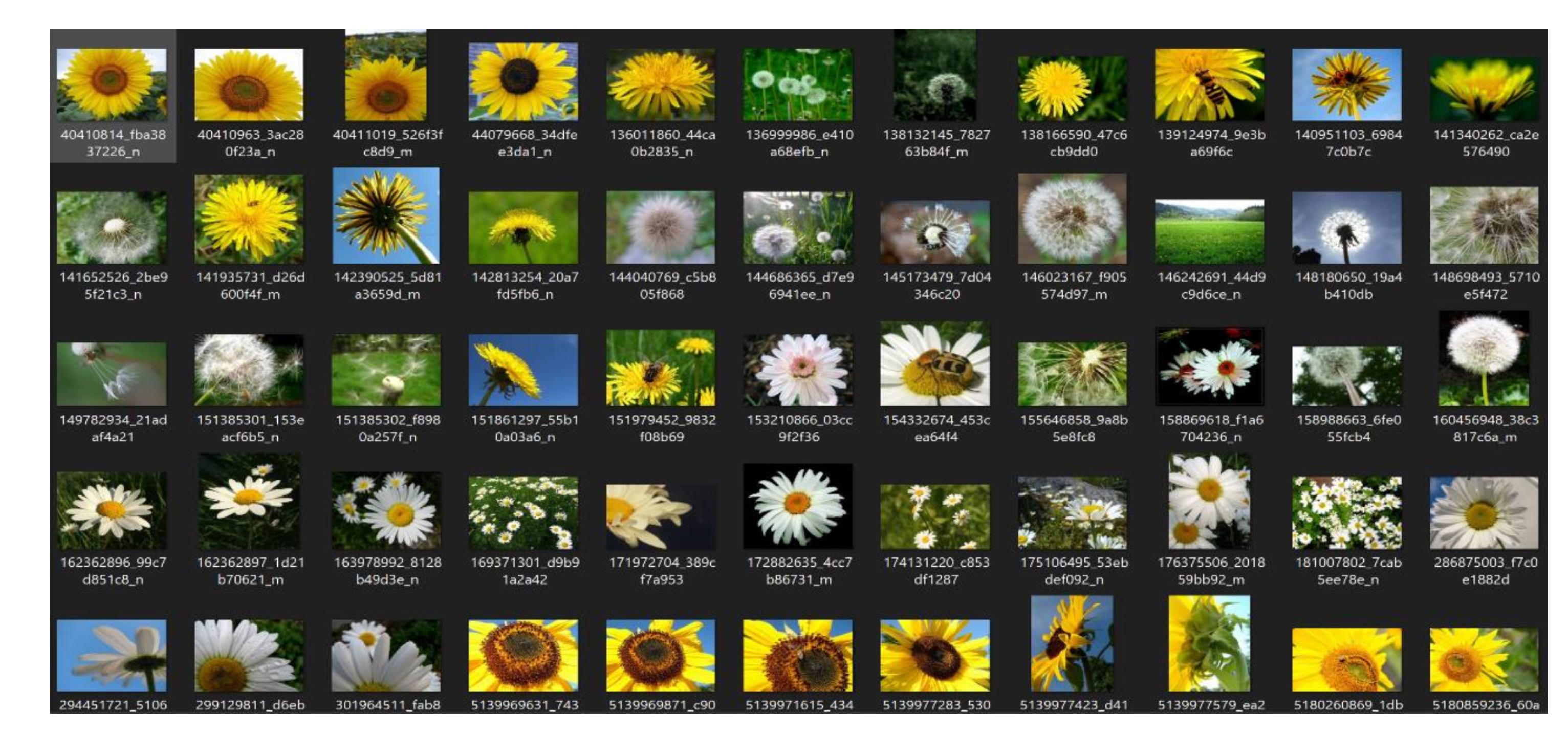 Preprints 200649 g002