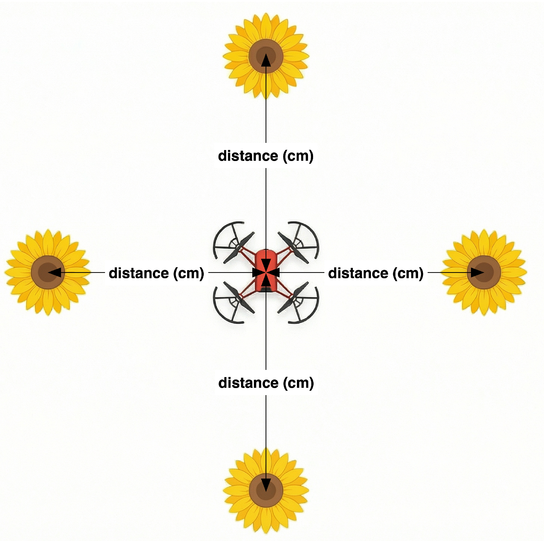 Preprints 200649 g004