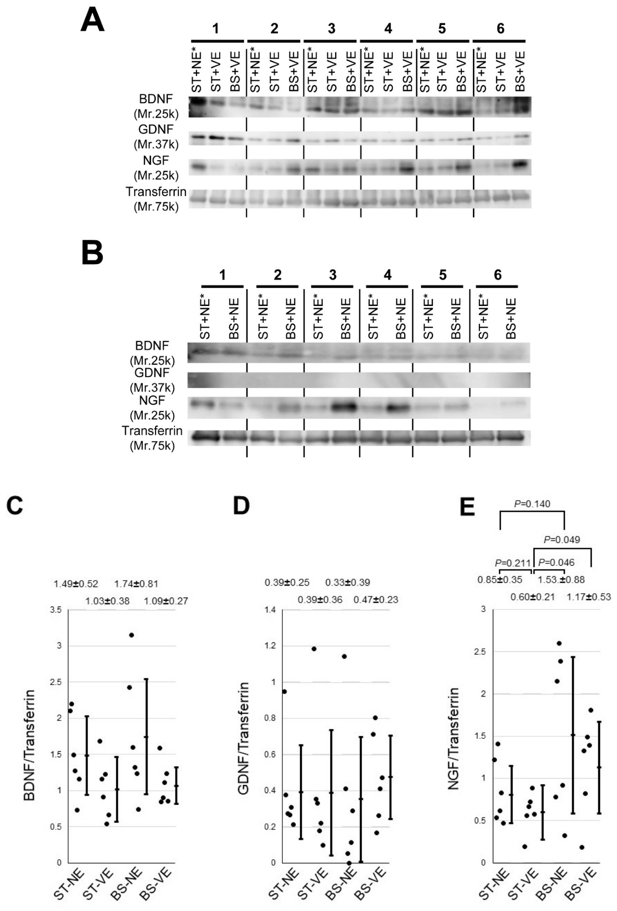Preprints 214424 g007 Preprints 214424 g007