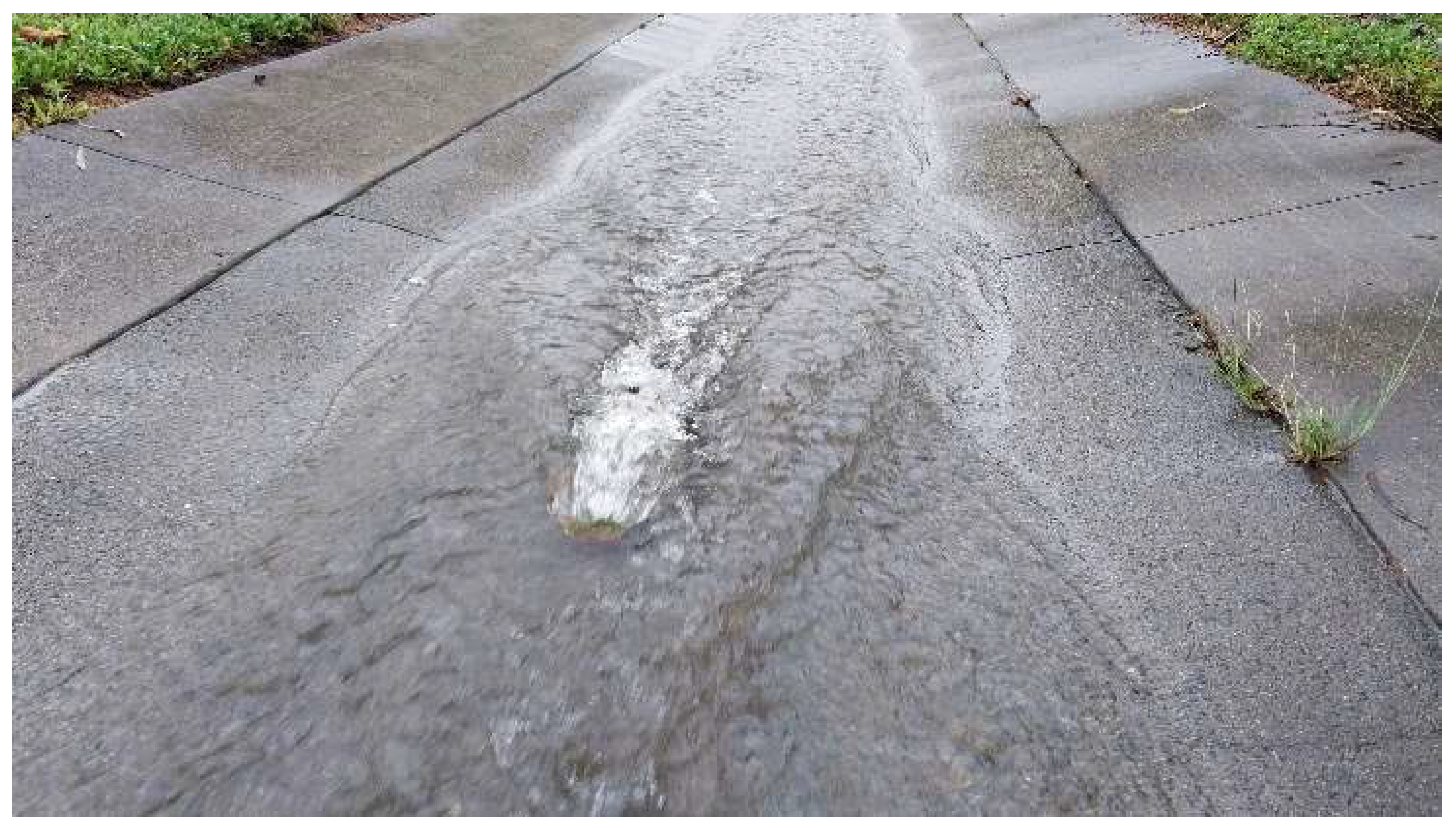 Preprints 157118 g003