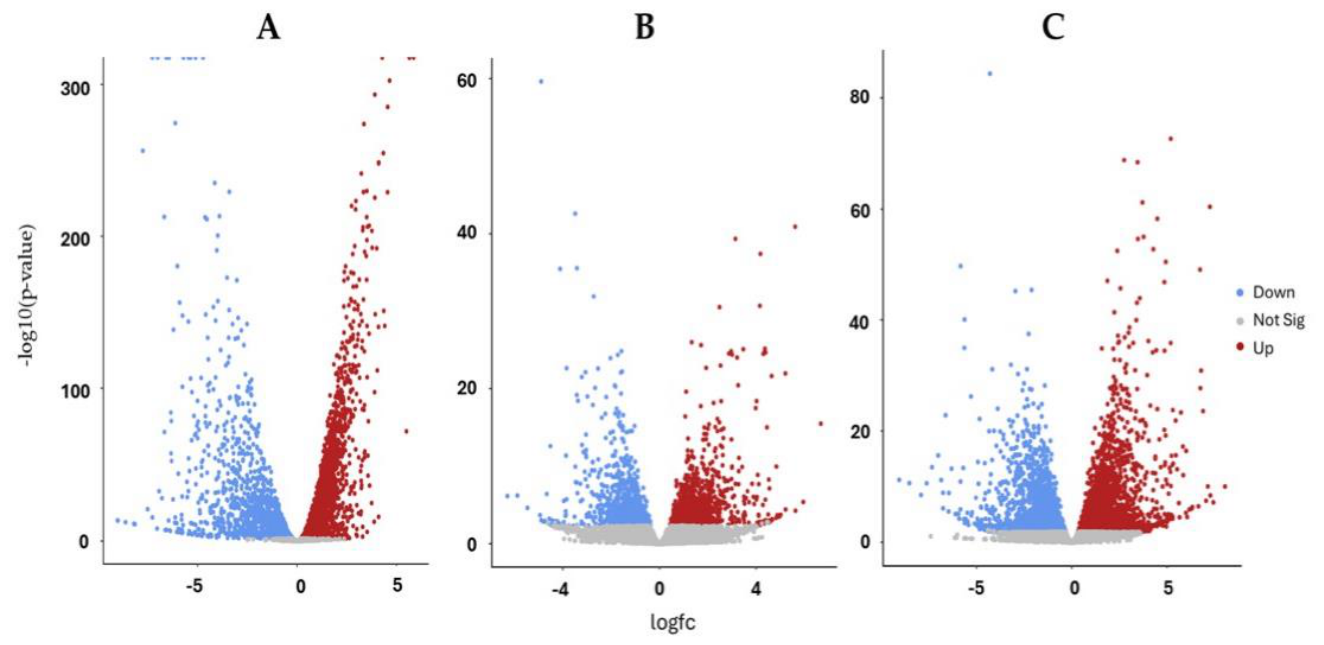 Preprints 217079 g002 Preprints 217079 g002