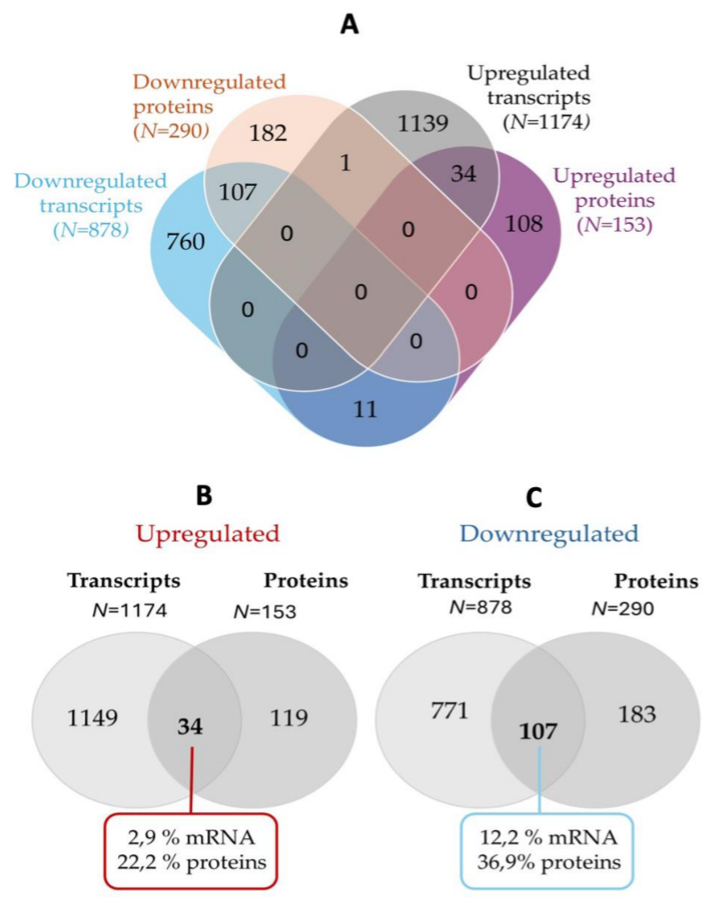 Preprints 217079 g004 Preprints 217079 g004