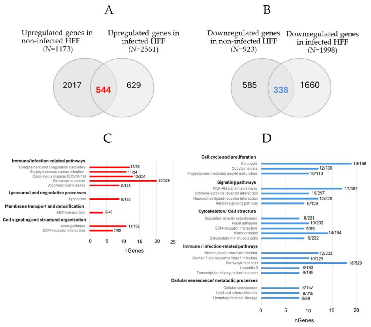 Preprints 217079 g006 Preprints 217079 g006