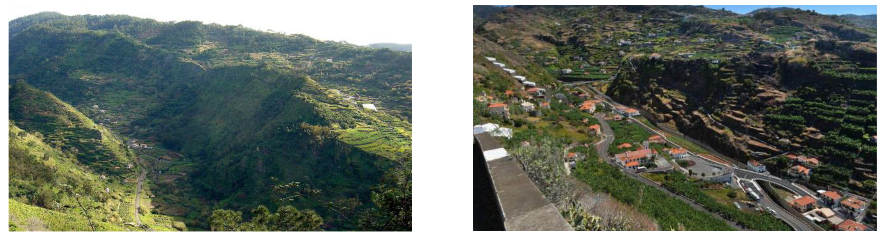 Preprints 76174 g002a