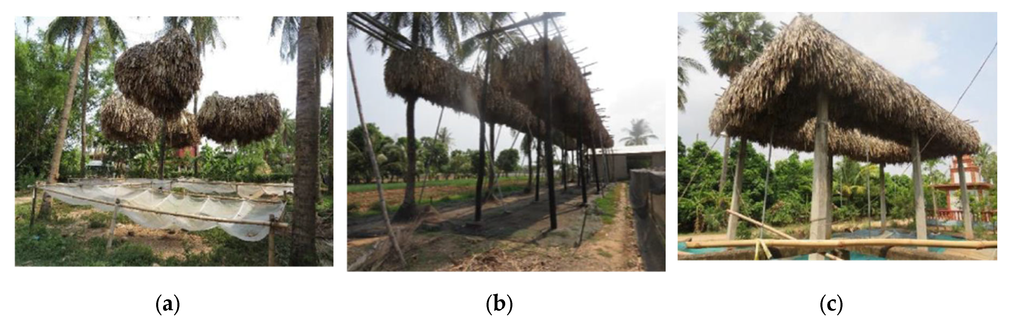 Preprints 202789 g001