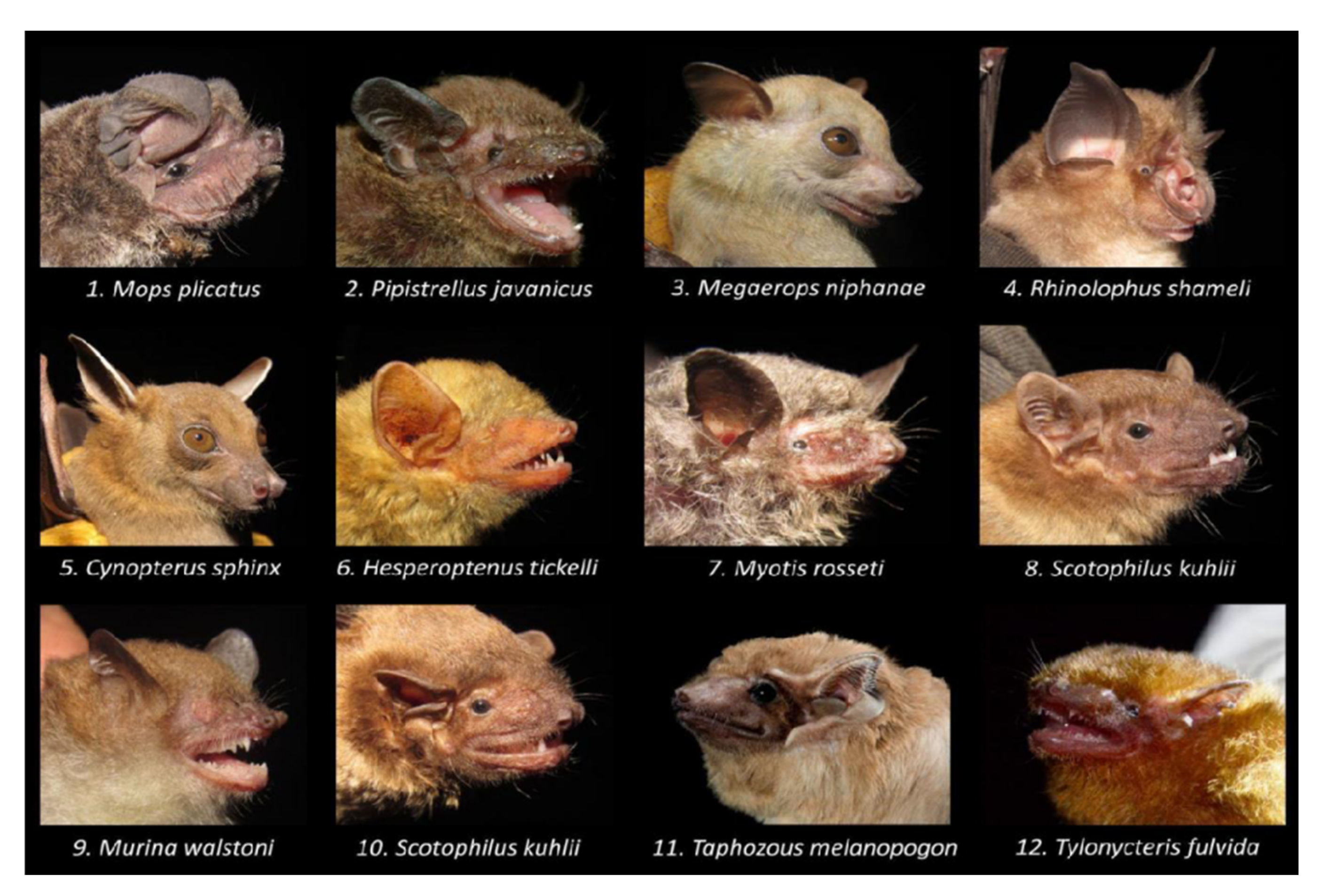 Preprints 202789 g0a1